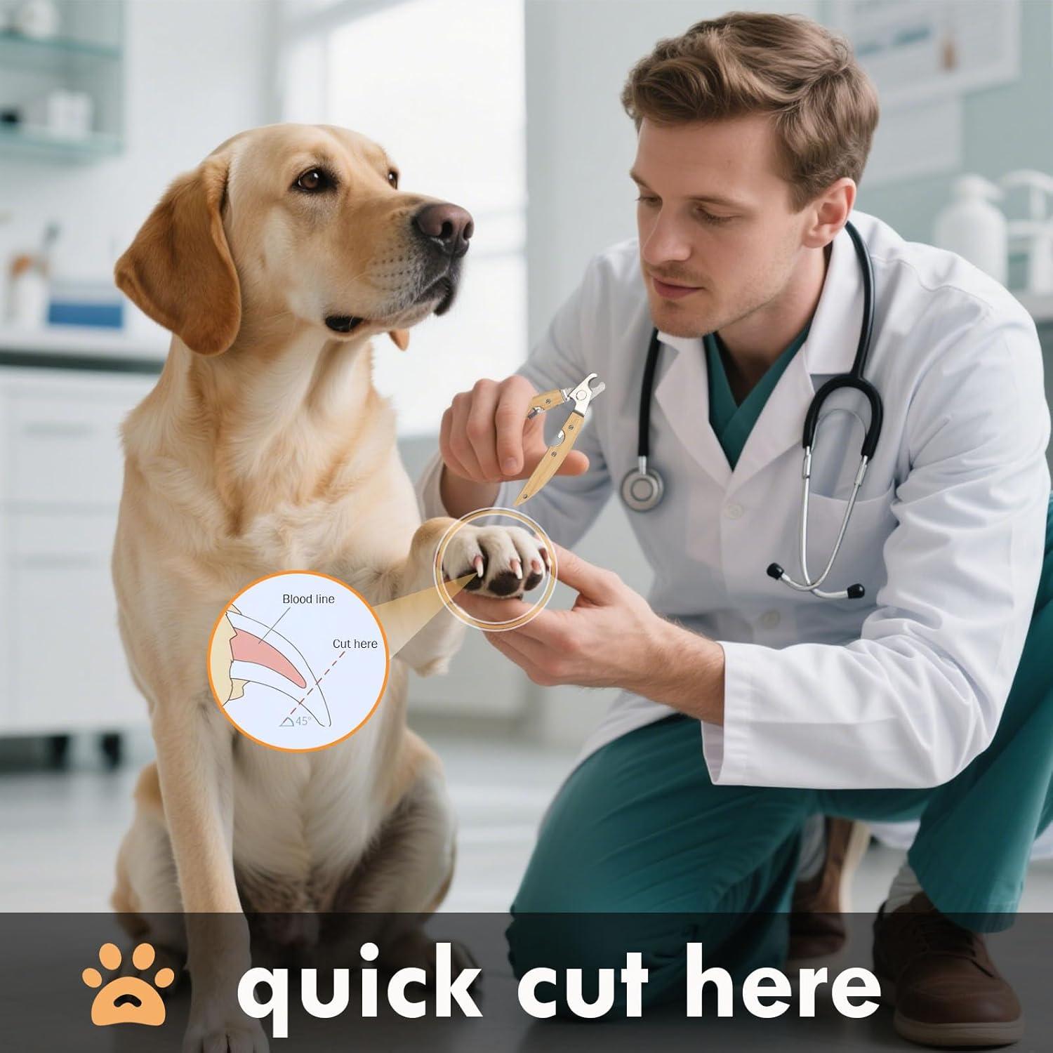 Kit de Aseo para Mascotas DGZC - Cepillo y Cortador de Uñas