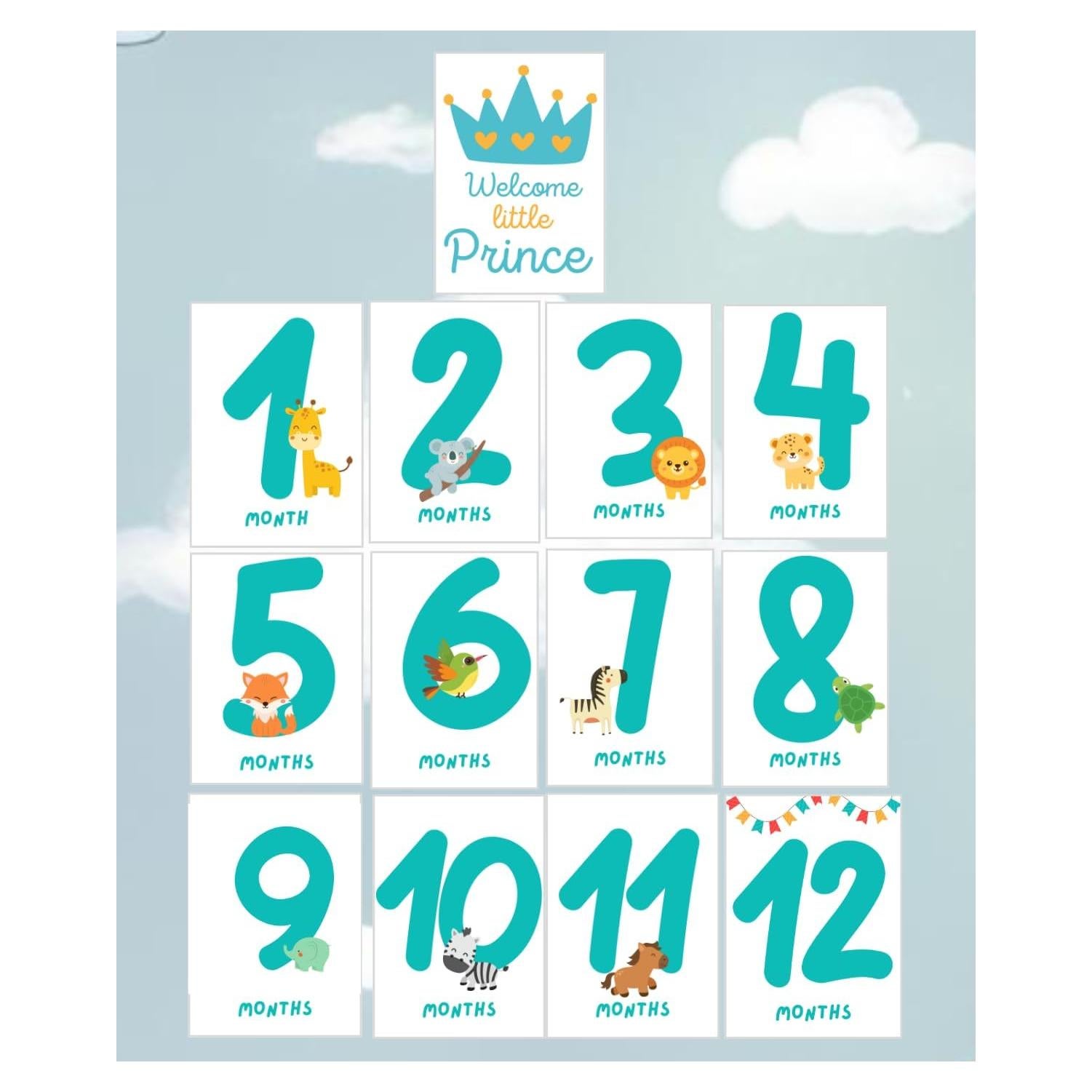 Tarjetas de Hitos Mensuales Bebé TODOKRAFT Azul 13 Piezas