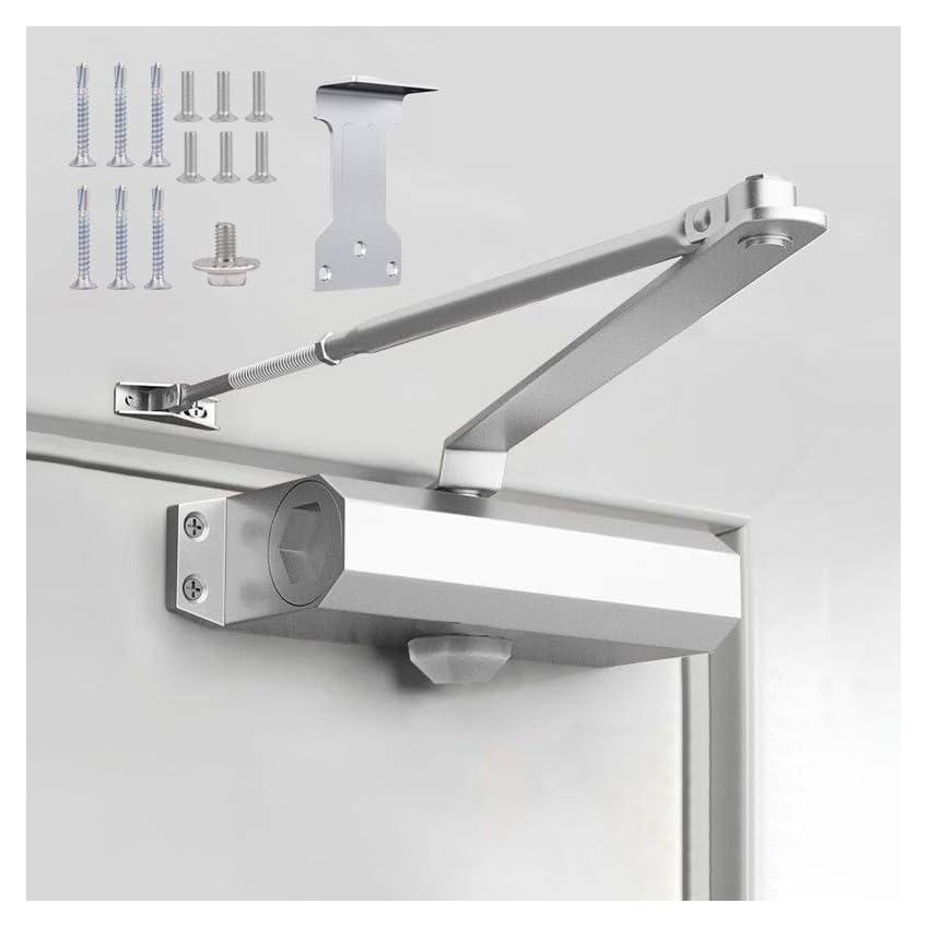 Cierre de puerta automático Augenweide 0-45kg ajustable plata