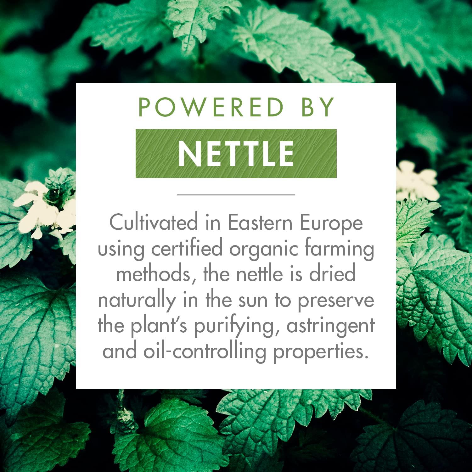 Champú Seco Klorane Ortiga 91g - Cabello Graso, Sin Parabenos