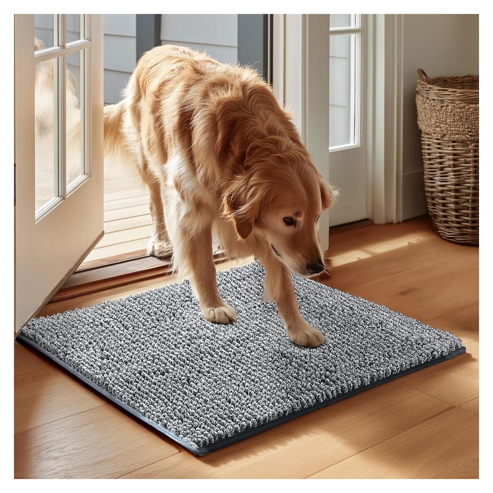 Alfombra Absorbente para Perros EHEYCIGA 61x41cm Gris