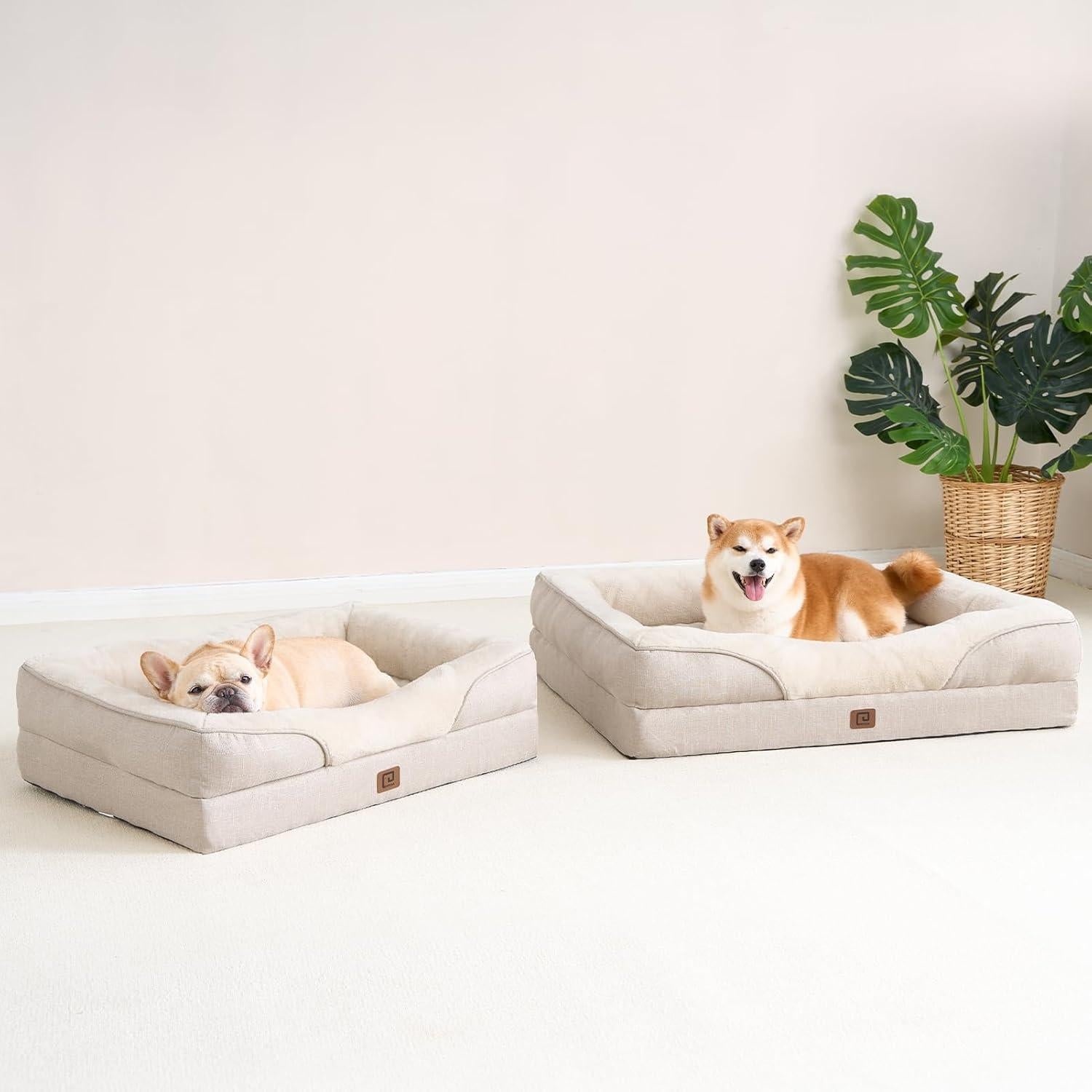 Cama Ortopédica para Perros EHEYCIGA 76x50 cm Beige