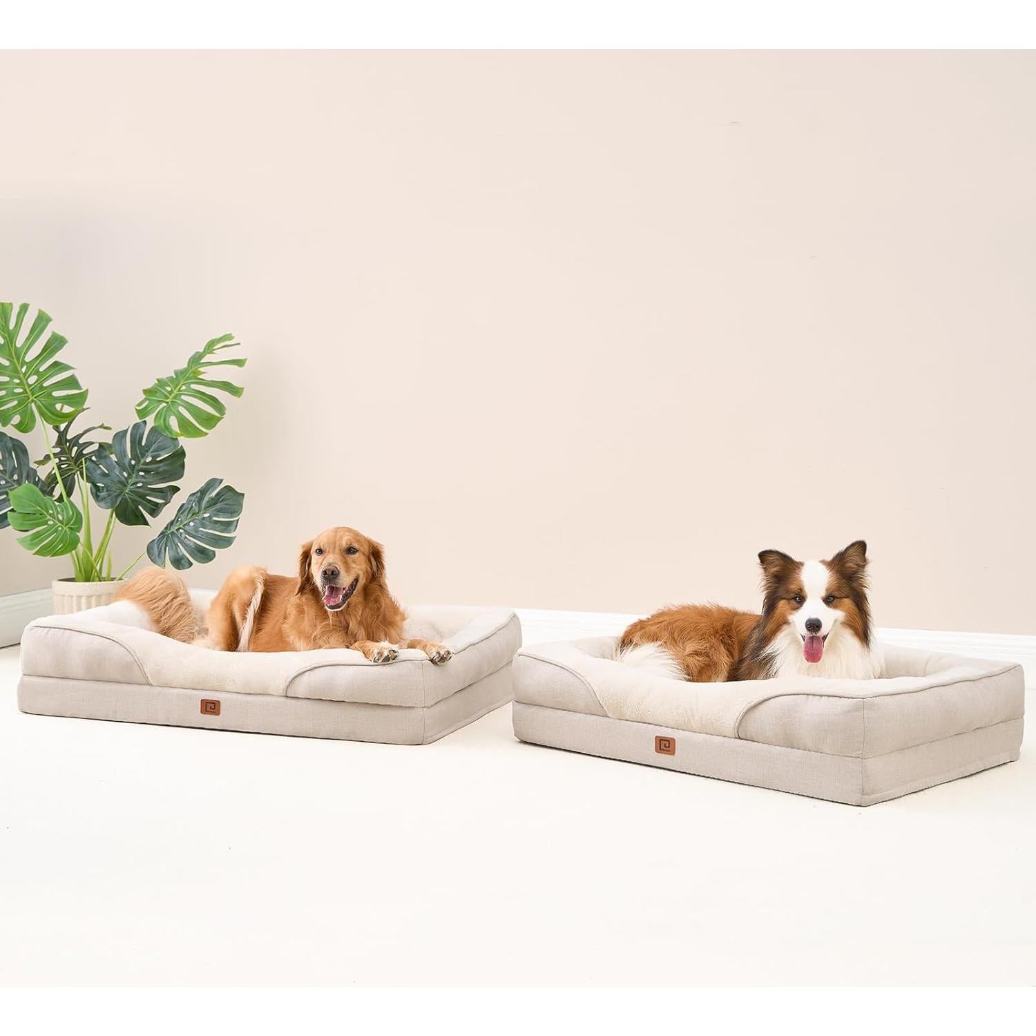 Cama Ortopédica para Perros EHEYCIGA 76x50 cm Beige