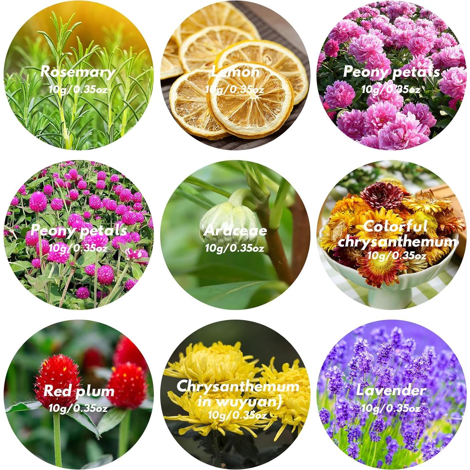 Kit de Flores Secas Naturales DreamdaMoonnly - 9 Bolsas 10g