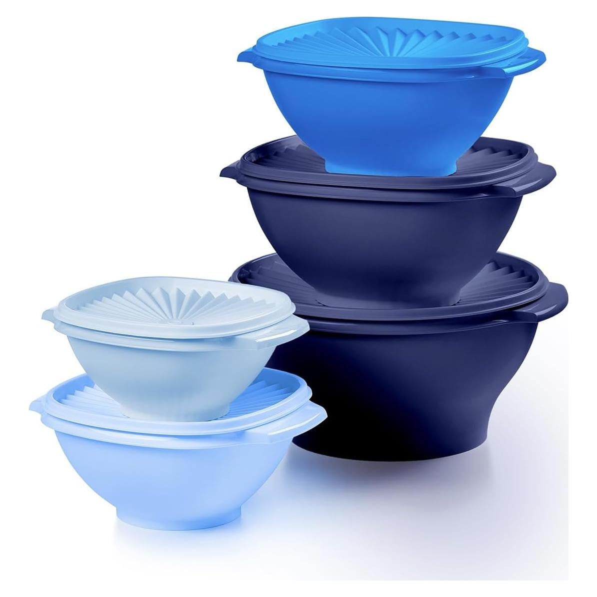 Set de 10 Contenedores de Almacenamiento Tupperware Azul