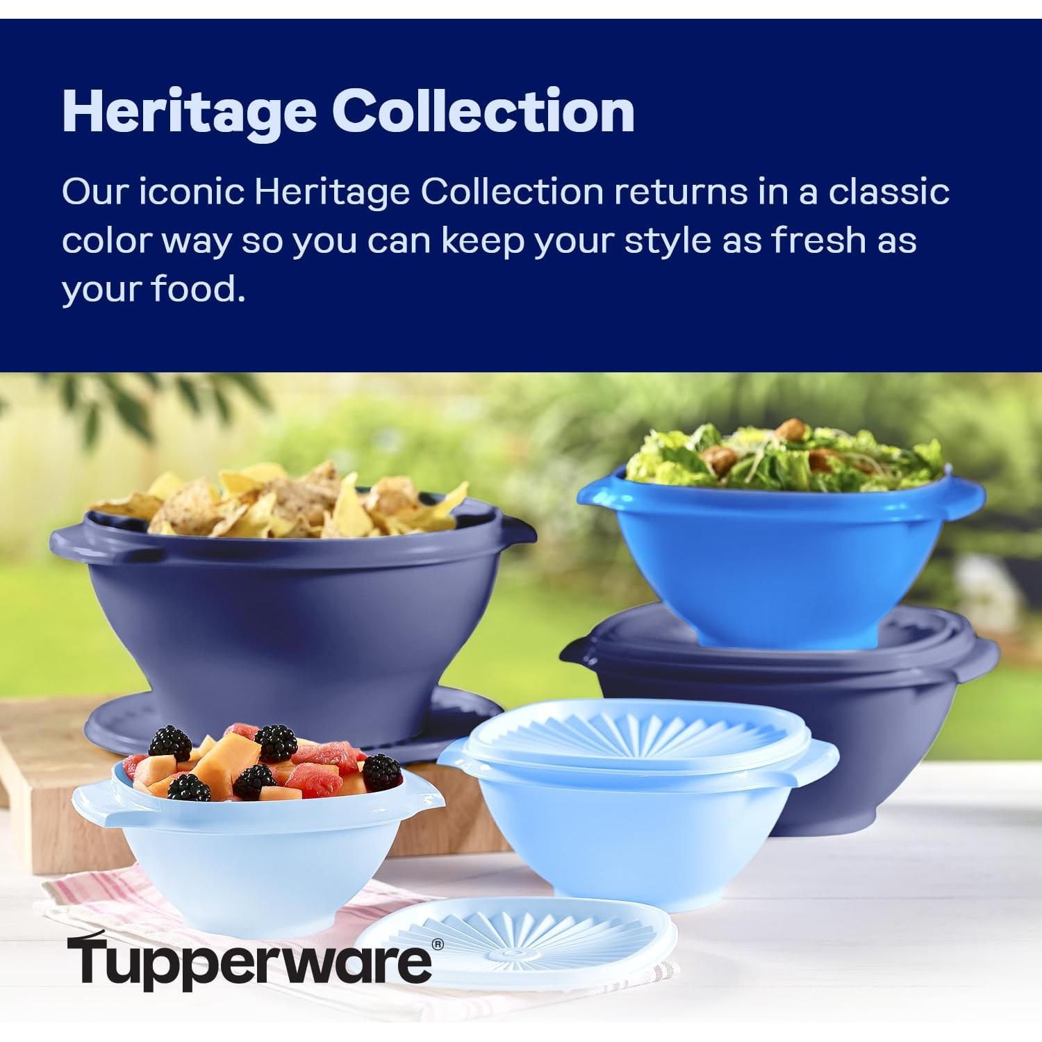 Set de 10 Contenedores de Almacenamiento Tupperware Azul