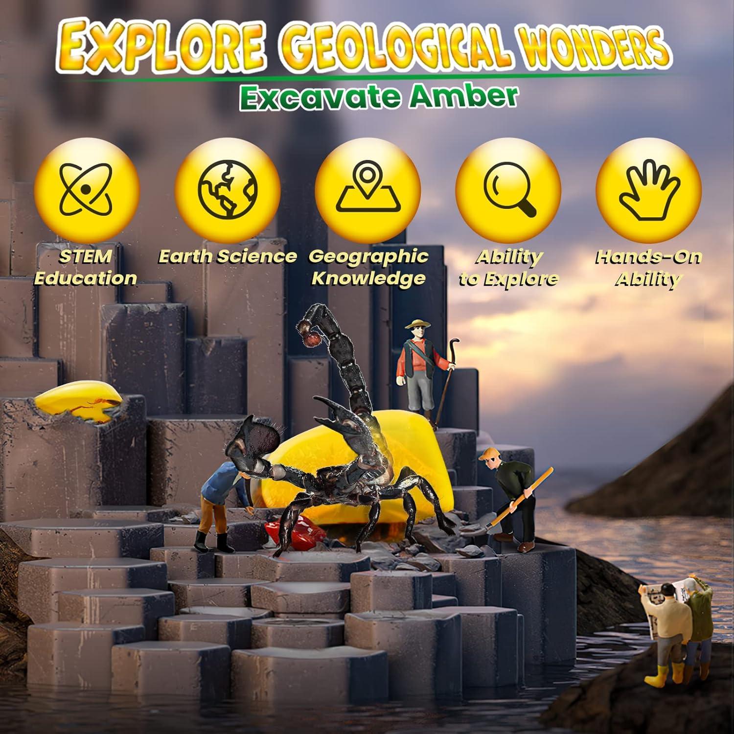 Kit de Excavación de Insectos GobiDex - 6 Especímenes STEM