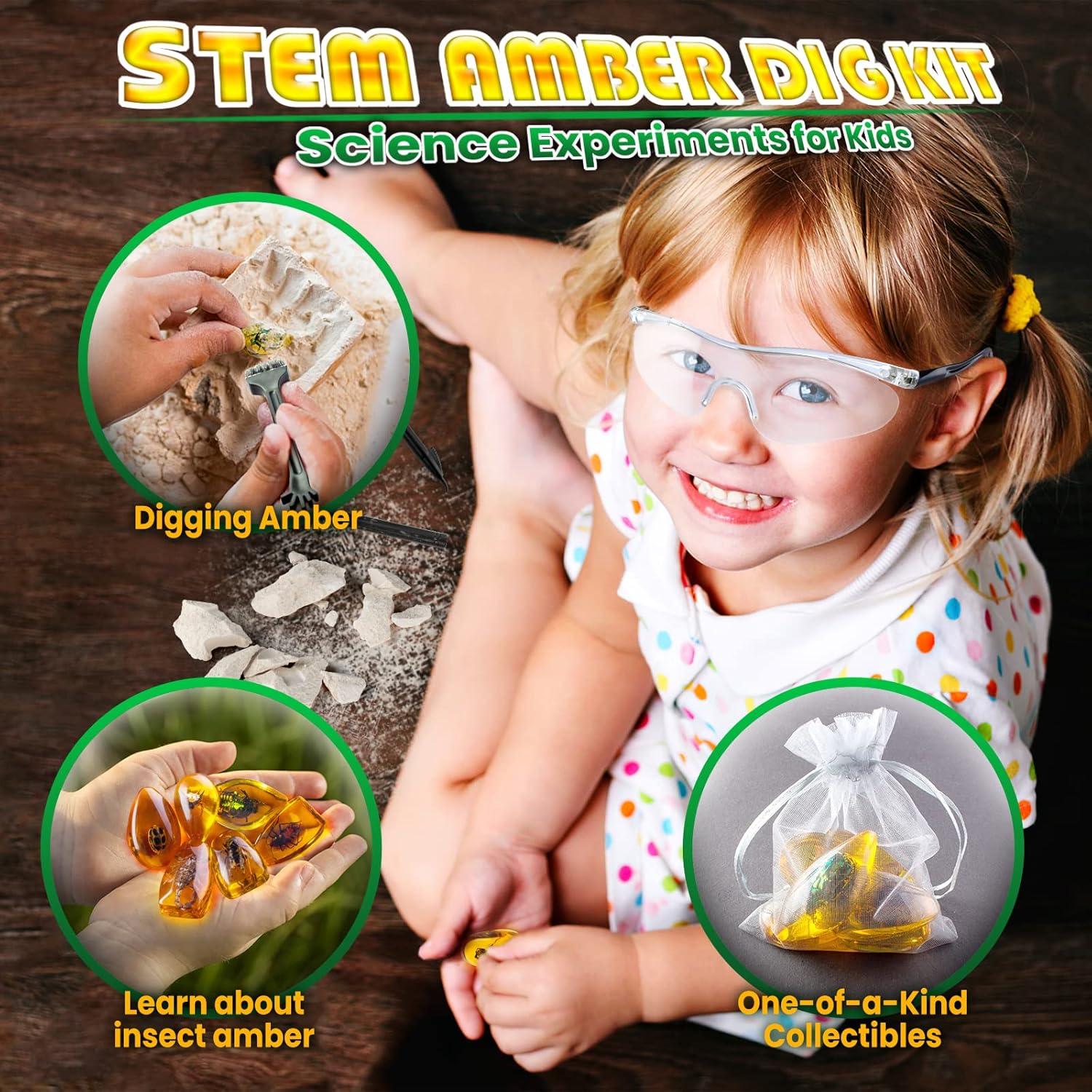 Kit de Excavación de Insectos GobiDex - 6 Especímenes STEM