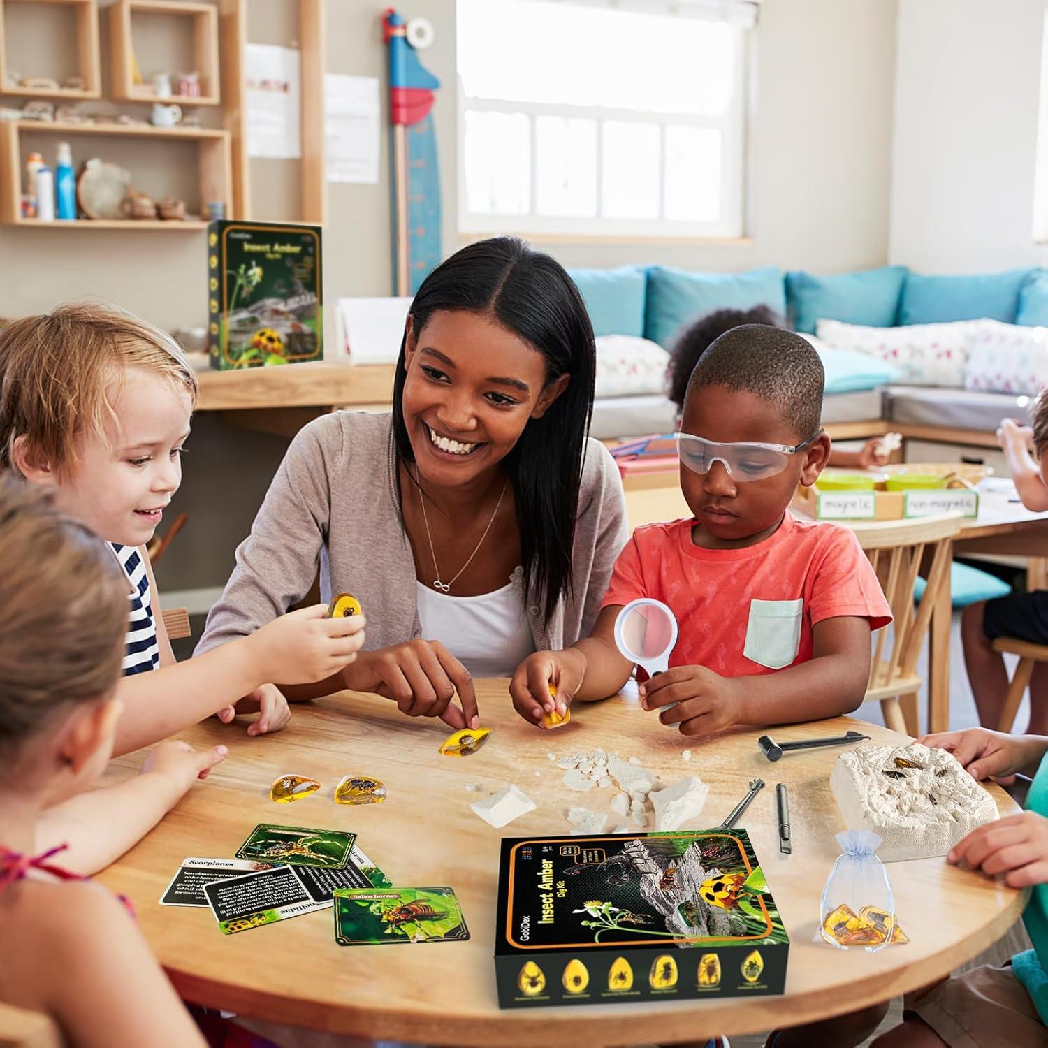 Kit de Excavación de Insectos GobiDex - 6 Especímenes STEM