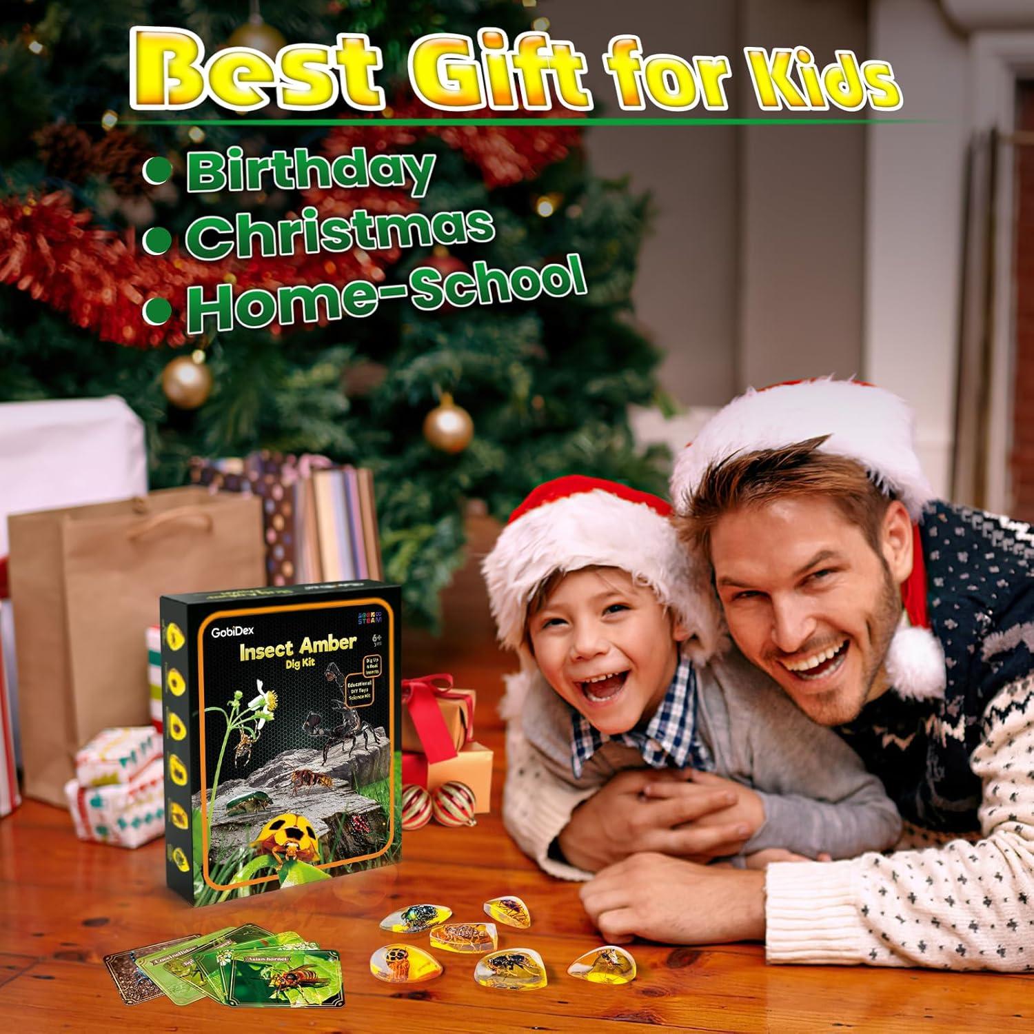 Kit de Excavación de Insectos GobiDex - 6 Especímenes STEM