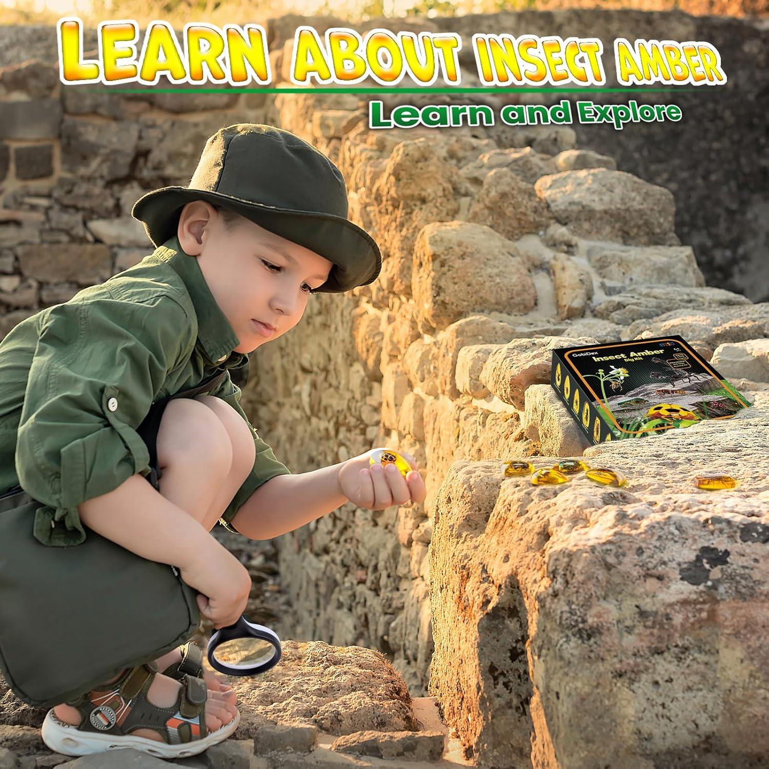 Kit de Excavación de Insectos GobiDex - 6 Especímenes STEM