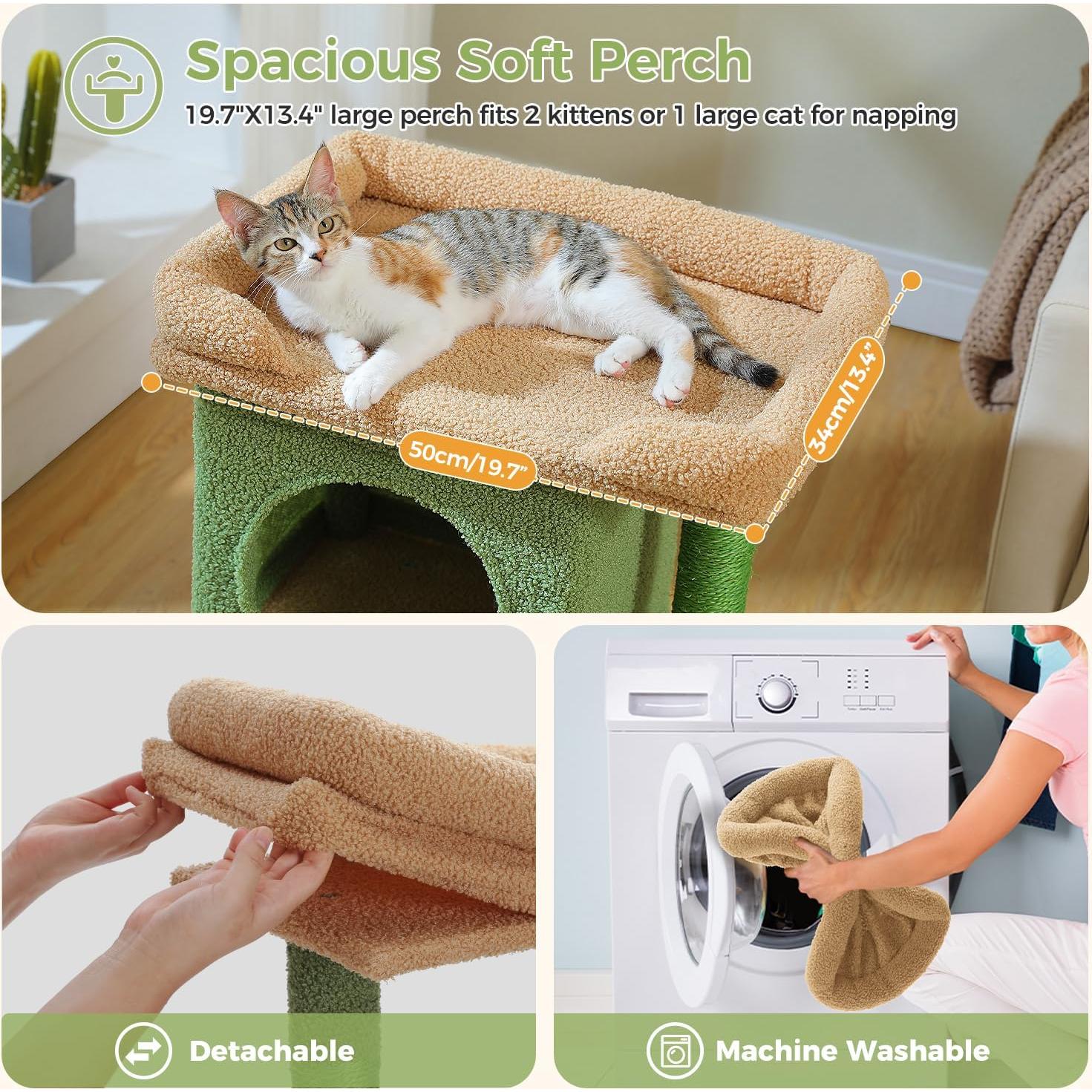 Árbol para Gatos PAWZ Road 66 cm Cactus con Perchero y Postes