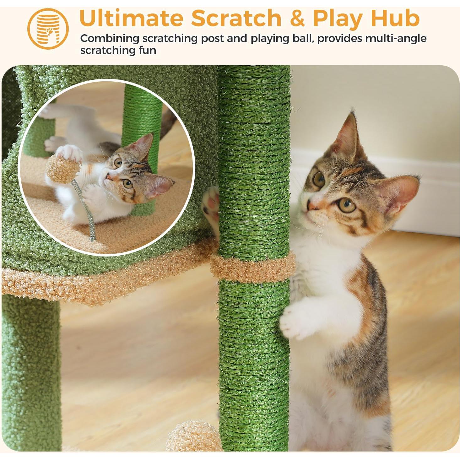 Árbol para Gatos PAWZ Road 66 cm Cactus con Perchero y Postes