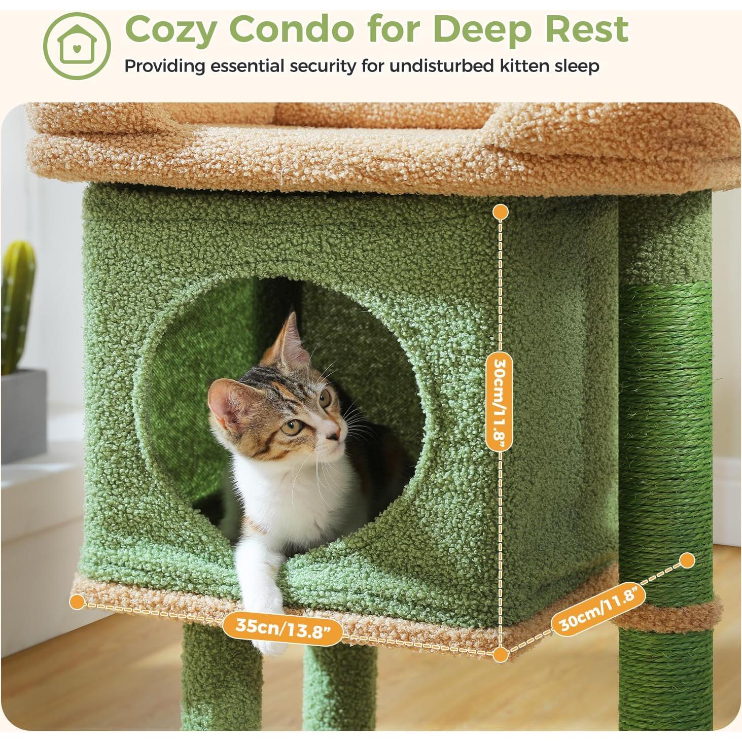 Árbol para Gatos PAWZ Road 66 cm Cactus con Perchero y Postes