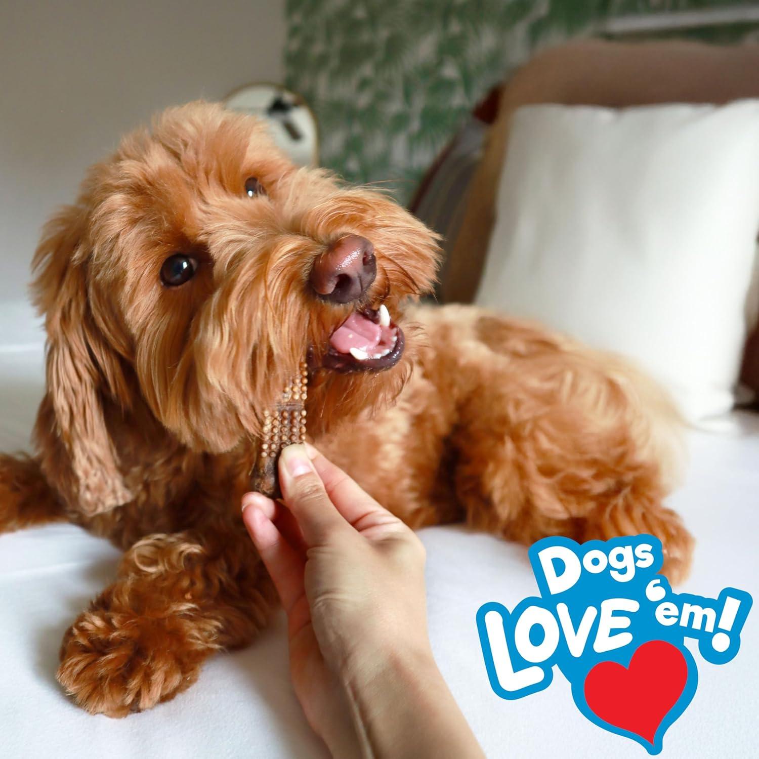 Golosinas Naturales para Perros Nylabone Pollo 187g - 8 Unidades