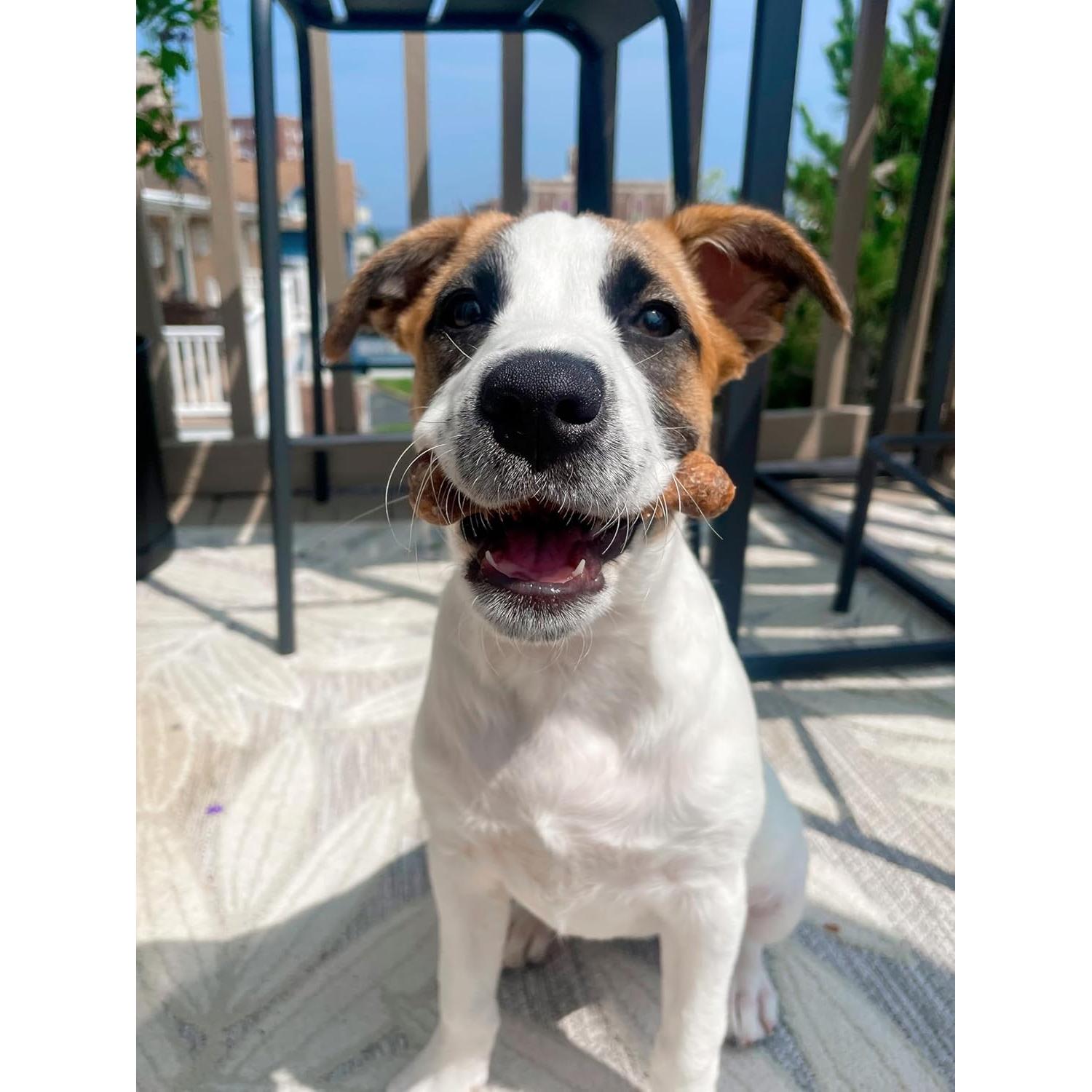 Golosinas Naturales para Perros Nylabone Pollo 187g - 8 Unidades