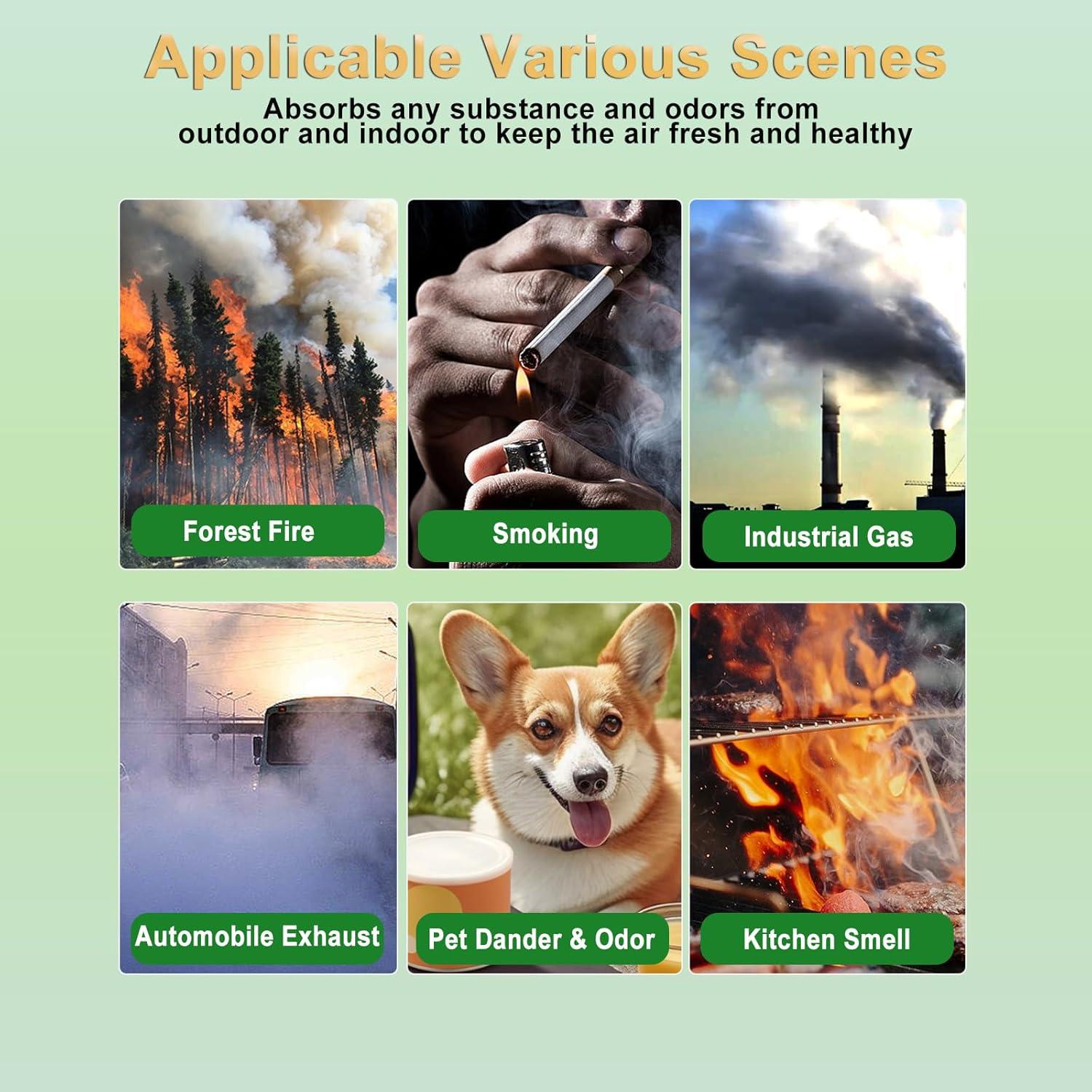 Filtro de Reemplazo HEPA H13 y 3 Pre-Filtros Coway AP-1512HH