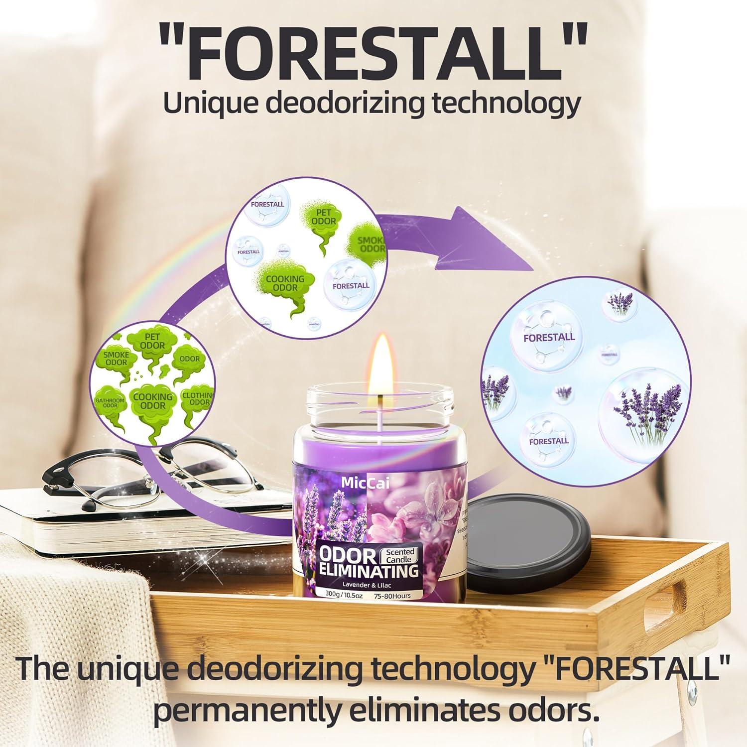 Vela Desodorizante de Soja MicCai Lavanda y Lila 316g