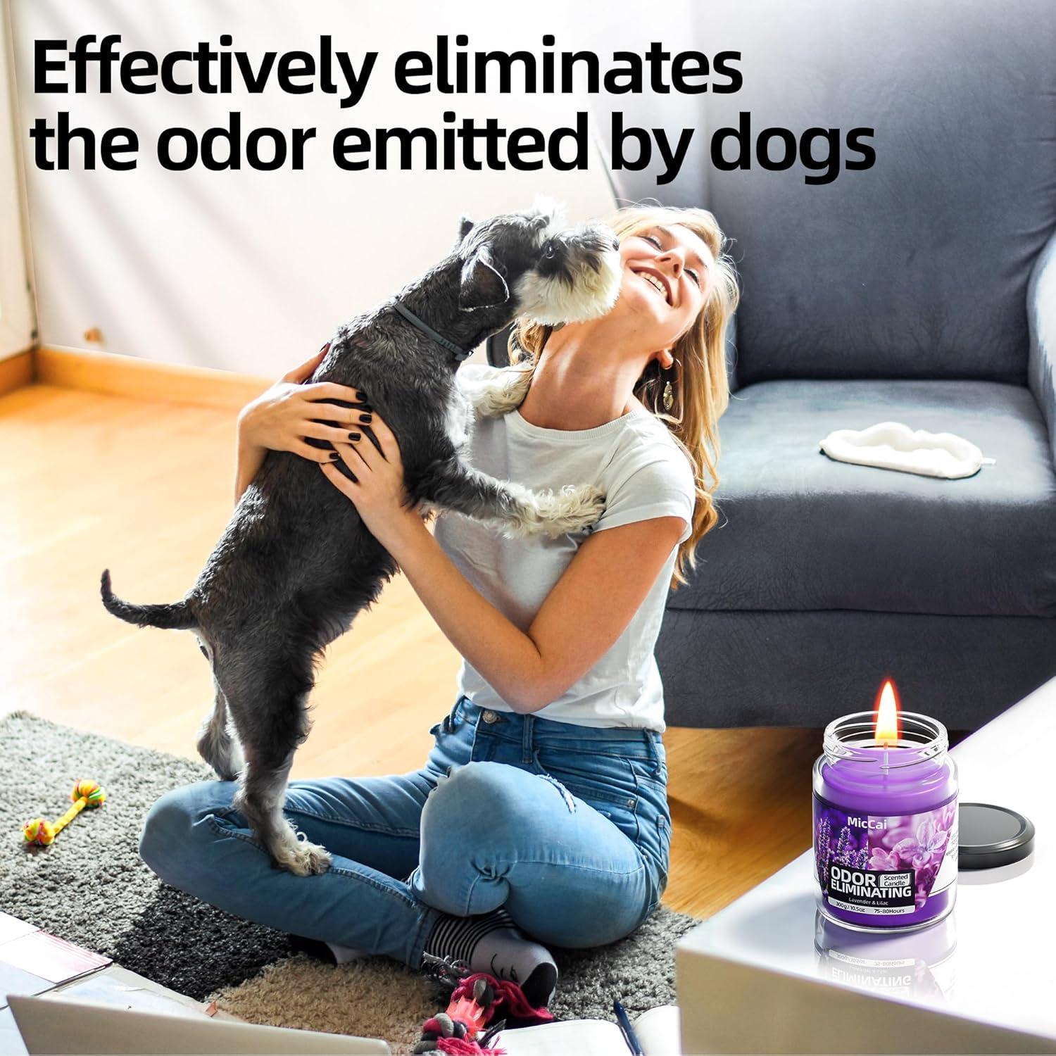 Vela Desodorizante de Soja MicCai Lavanda y Lila 316g