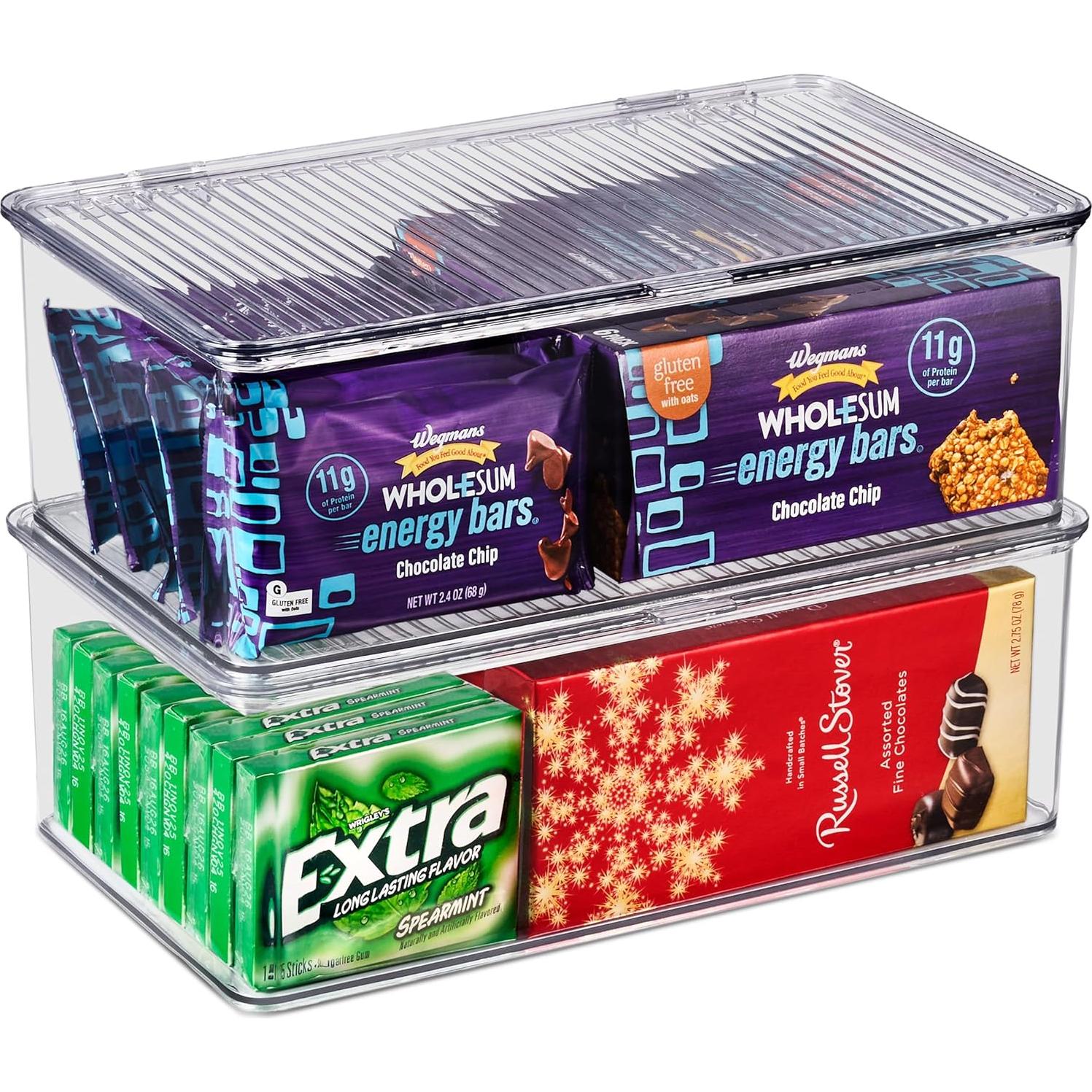 Contenedores de Almacenamiento Sorbus Medianos con Tapa Bisagra - Juego de 2