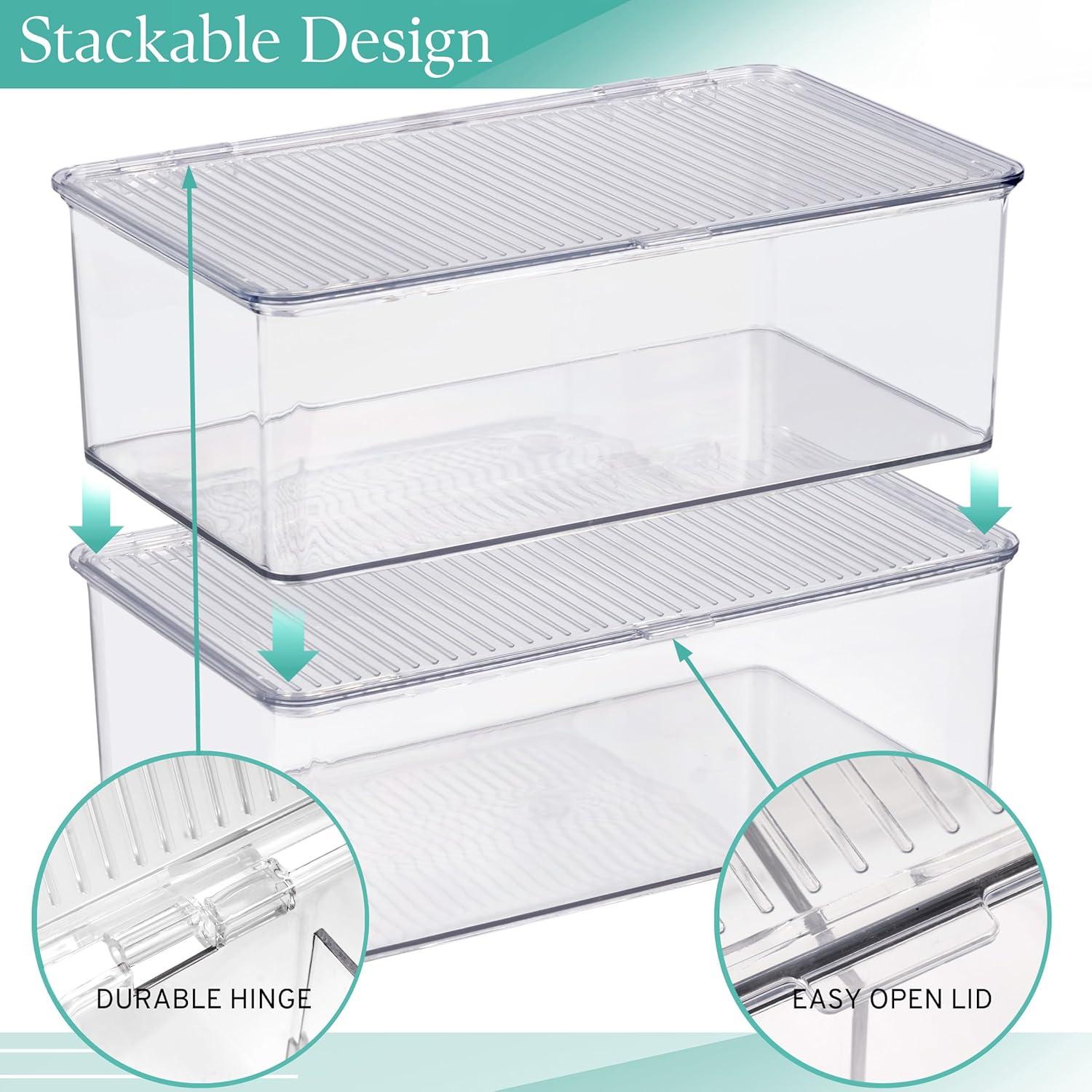 Contenedores de Almacenamiento Sorbus Medianos con Tapa Bisagra - Juego de 2