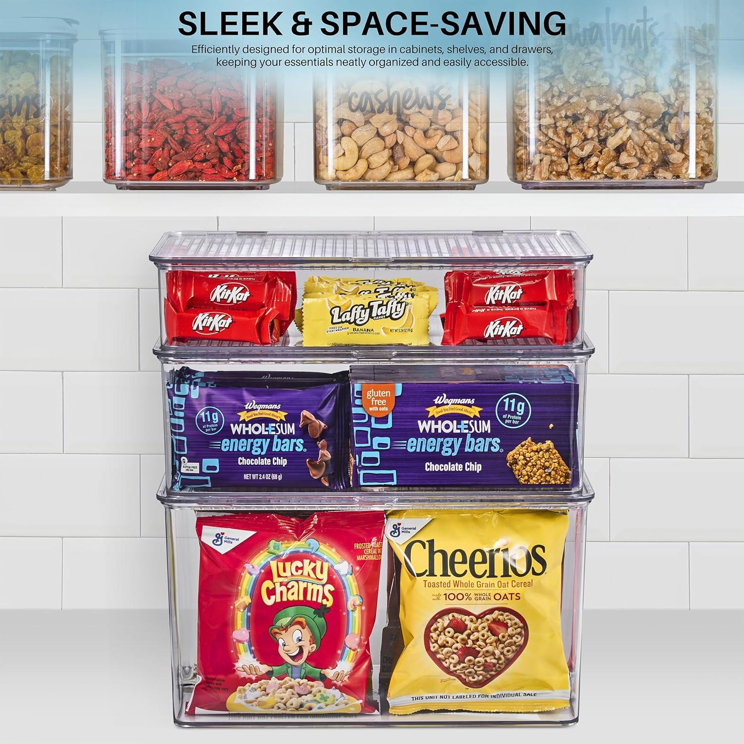 Contenedores de Almacenamiento Sorbus Medianos con Tapa Bisagra - Juego de 2