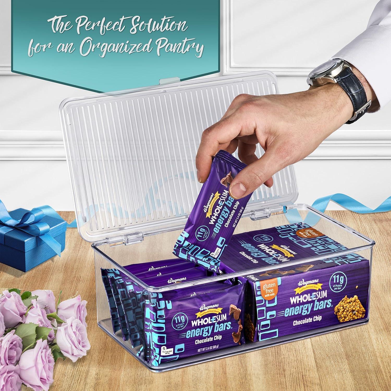 Contenedores de Almacenamiento Sorbus Medianos con Tapa Bisagra - Juego de 2