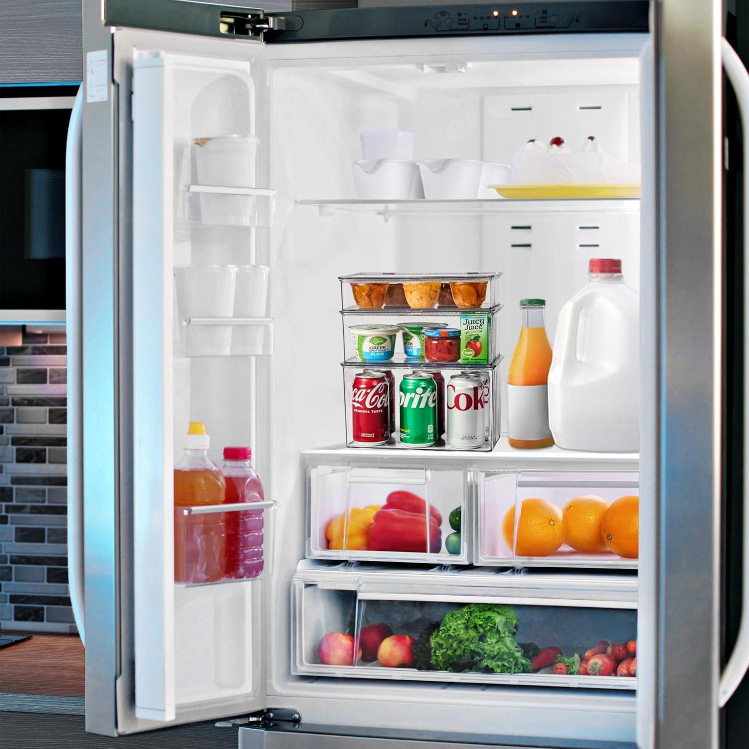 Contenedores de Almacenamiento Sorbus Medianos con Tapa Bisagra - Juego de 2