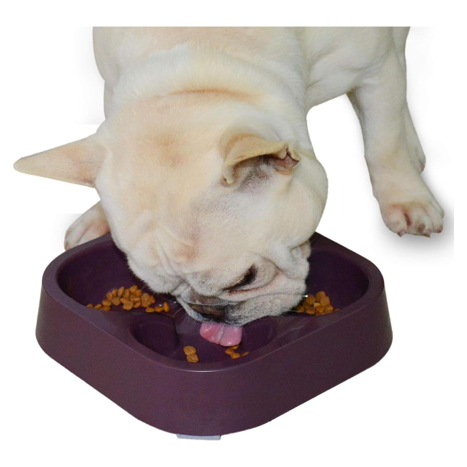 Cuenco de Alimentación Lenta Hifrenchies para Perros Café