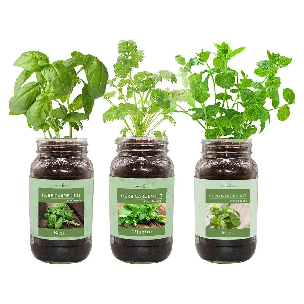 Kit de Jardín de Hierbas Environet - 3 Tarros, Semillas Orgánicas