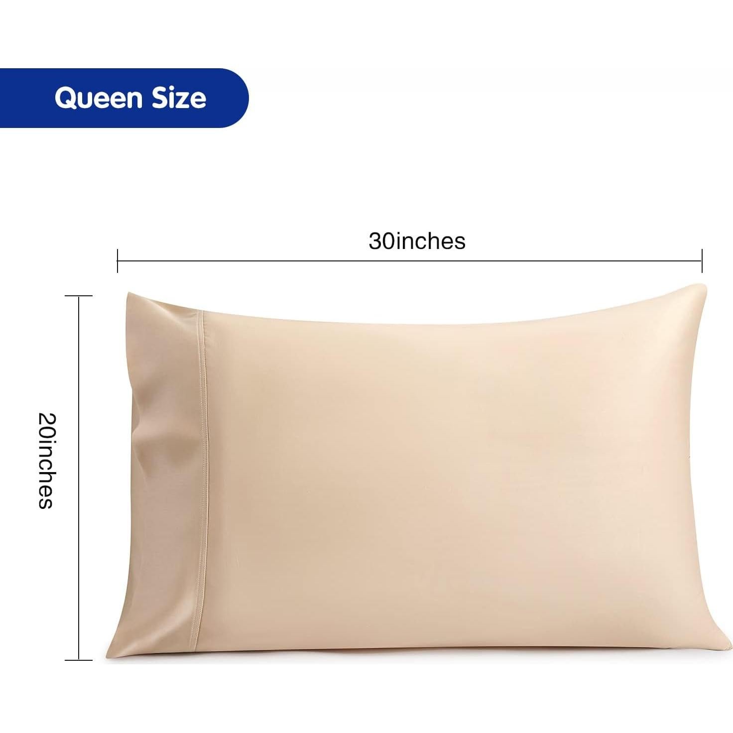 Funda de Almohada Reina Stnomy Eucalipto Tencel 300TC Champagne