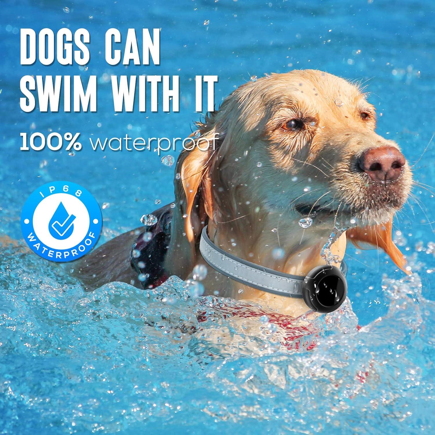 Soporte Impermeable para Collar de Perro Airtag - 2 Pack