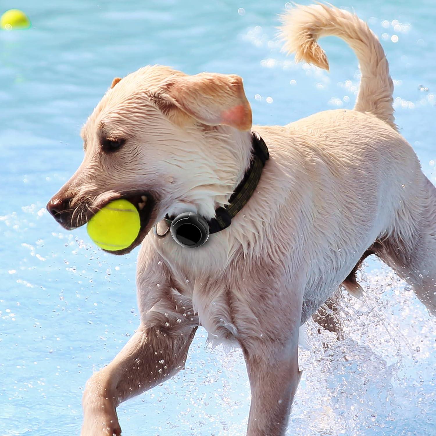 Soporte Impermeable para Collar de Perro Airtag - 2 Pack