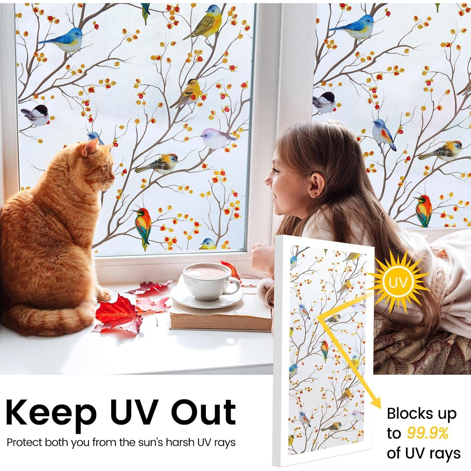 Película de Ventana Templada DKTIE 45x200cm Privacidad UV2