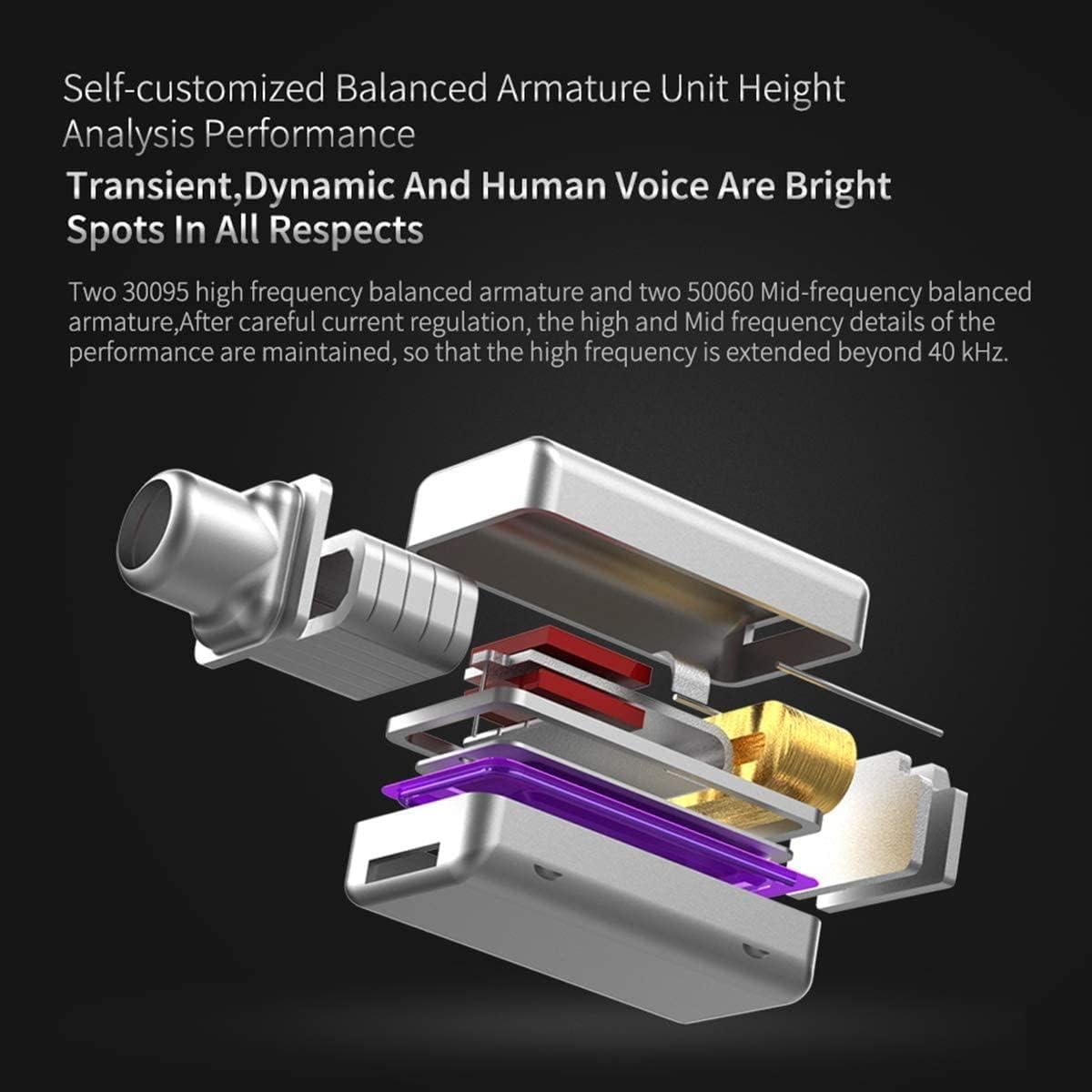 Auriculares KZ ZS10 Pro In-Ear con Cable 4BA+1DD Negro con Mic