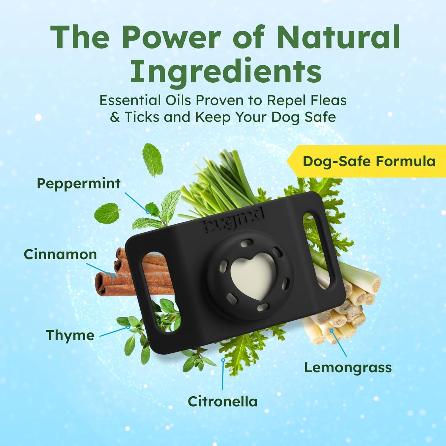 Colgante Antipulgas y Garrapatas BugMD con Soporte para AirTag - Negro