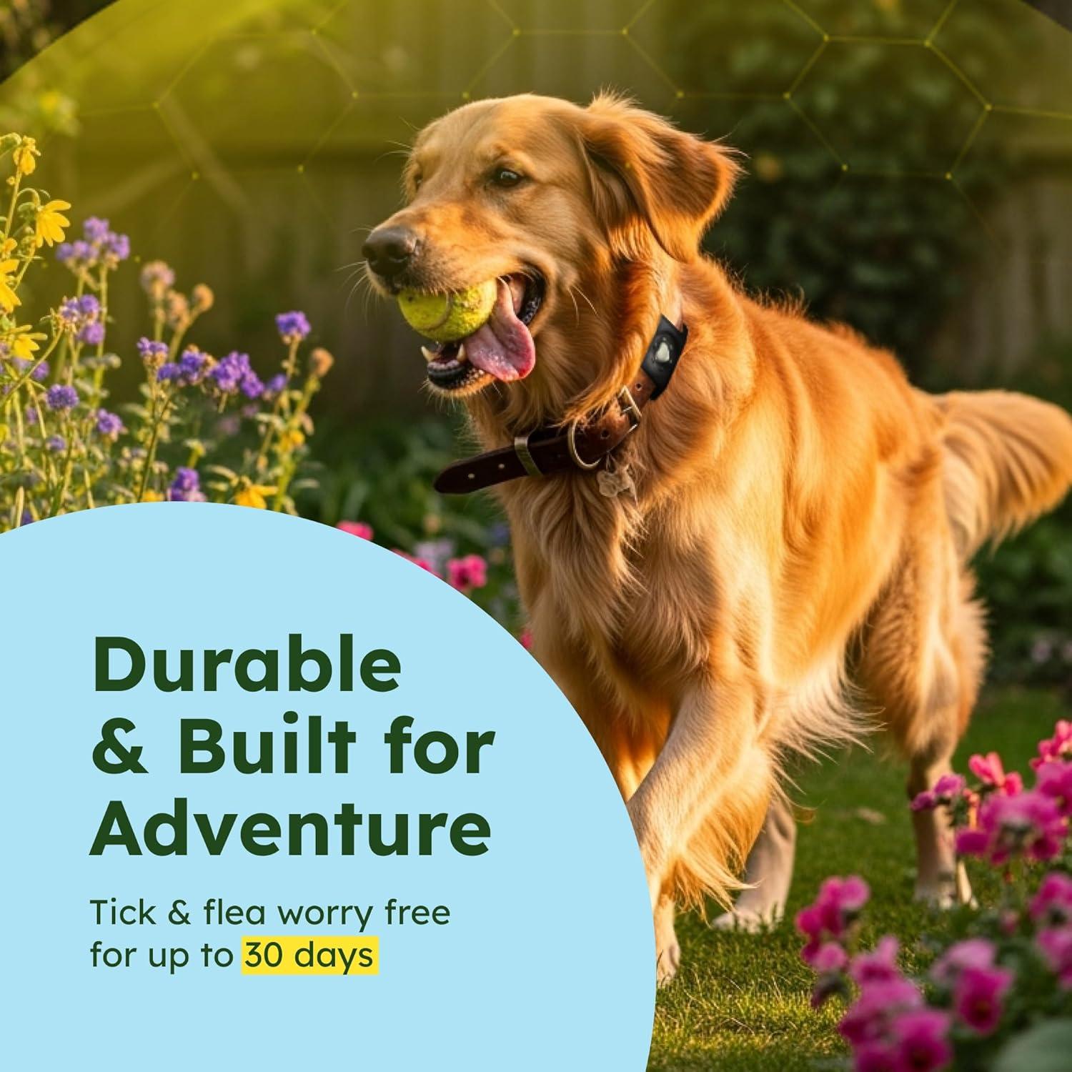 Colgante Antipulgas y Garrapatas BugMD con Soporte para AirTag - Negro