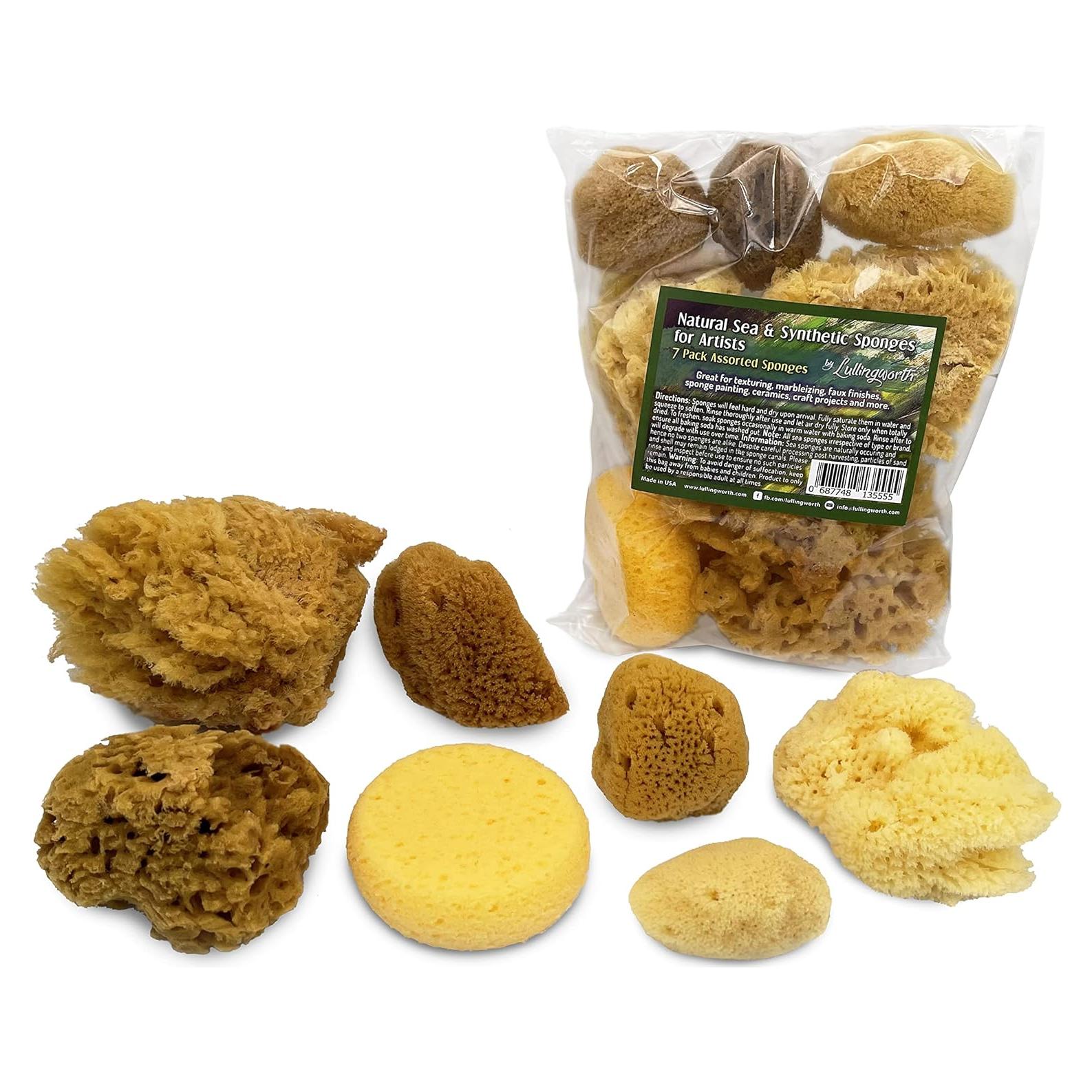 Esponjas Marinas Naturales y Sintéticas Lullingworth - 7 Piezas
