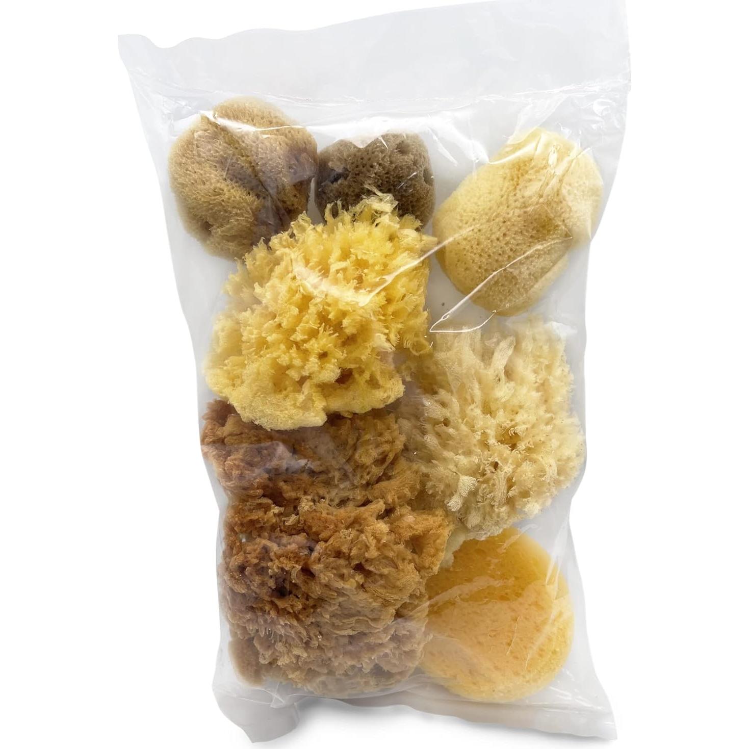 Esponjas Marinas Naturales y Sintéticas Lullingworth - 7 Piezas