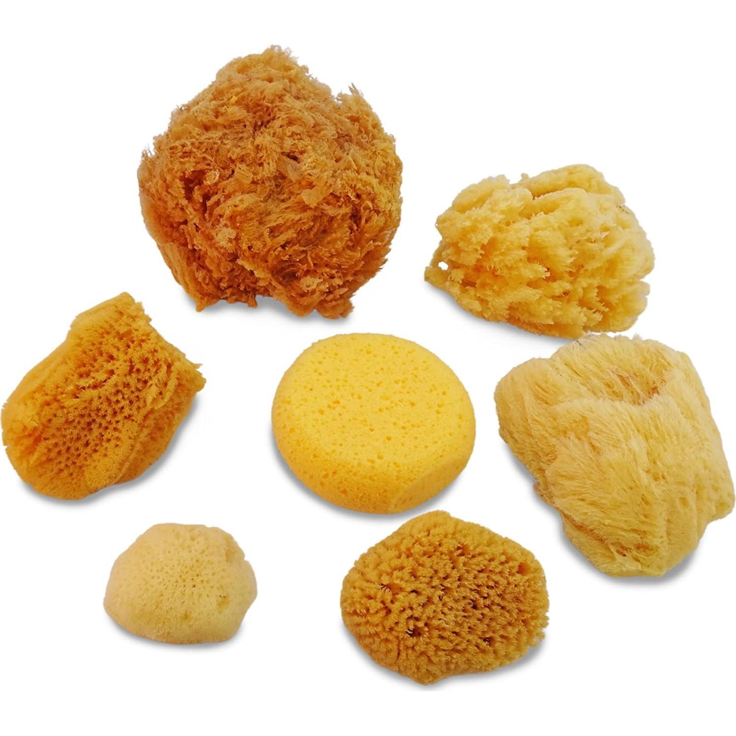 Esponjas Marinas Naturales y Sintéticas Lullingworth - 7 Piezas