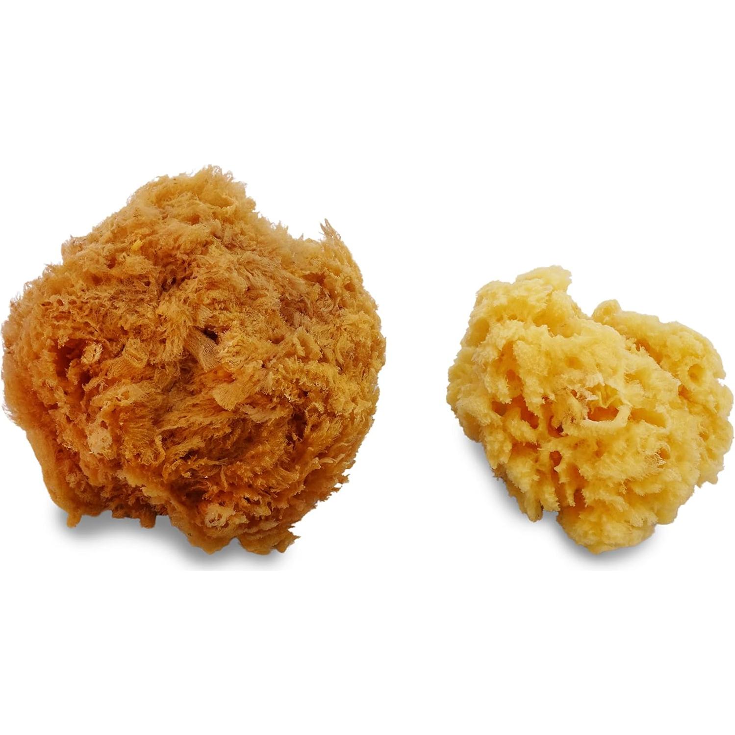 Esponjas Marinas Naturales y Sintéticas Lullingworth - 7 Piezas