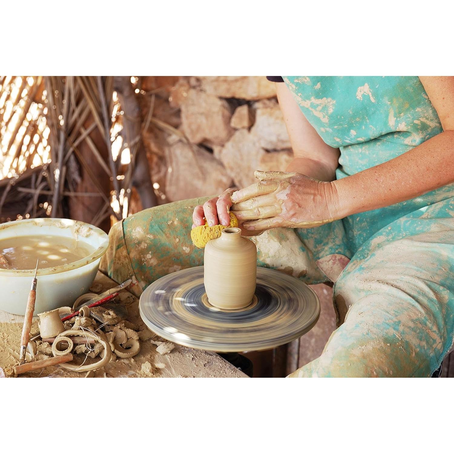 Esponjas Marinas Naturales y Sintéticas Lullingworth - 7 Piezas