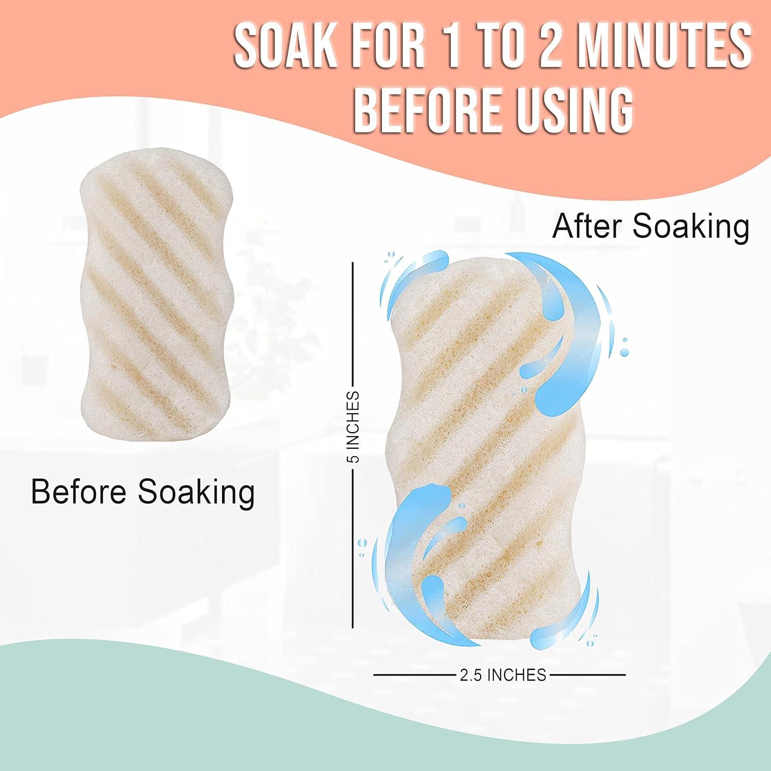 Esponja Exfoliante de Konjac PureSOL - Carbón Activado 100% Natural