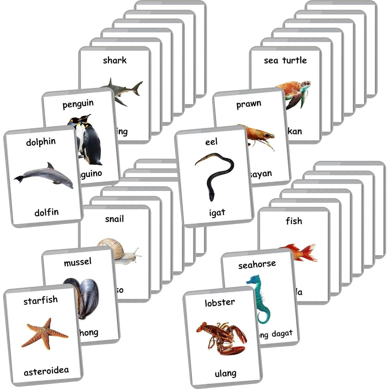 Tarjetas de Flash Laminadas Animales Marinos - 26 Piezas Bilingües