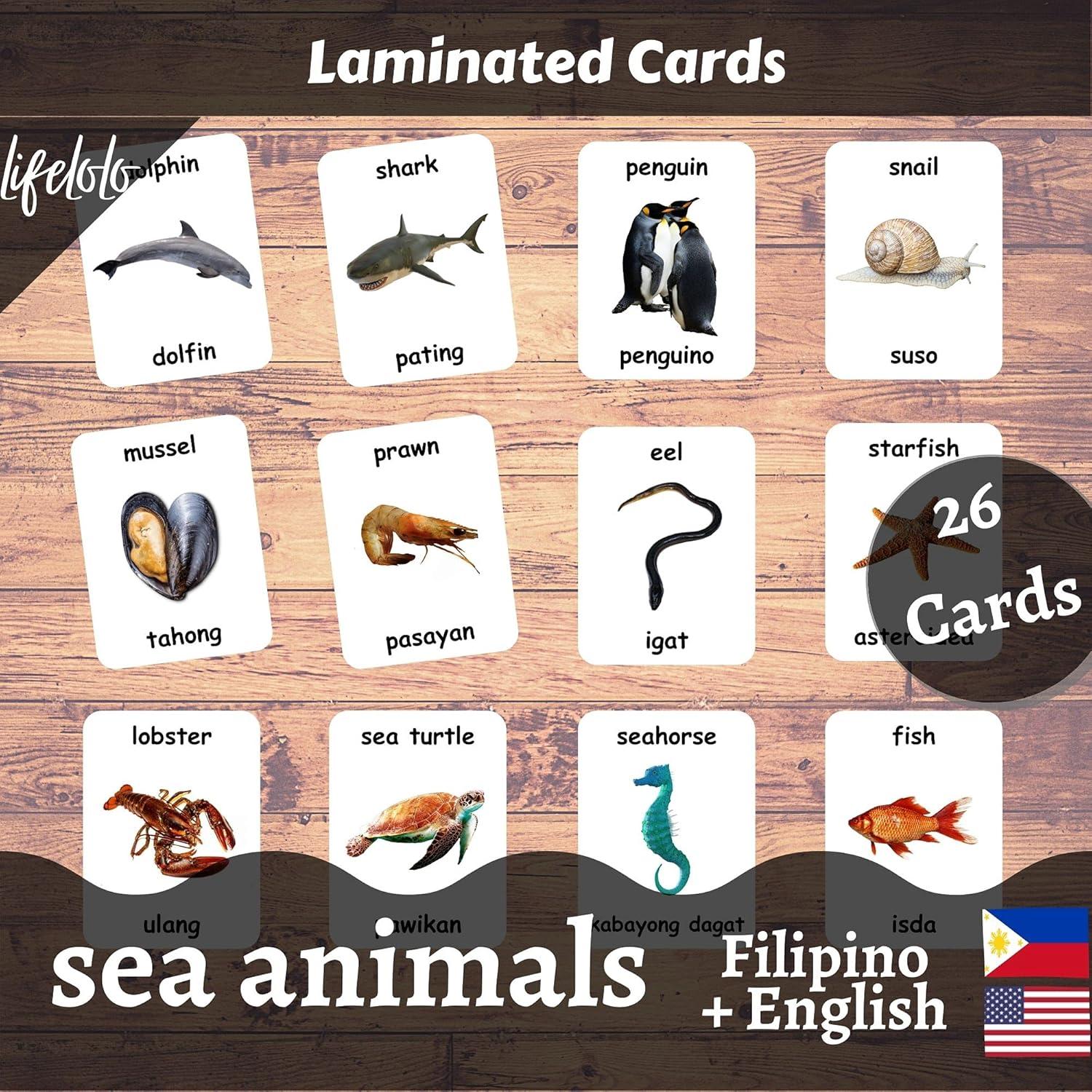 Tarjetas de Flash Laminadas Animales Marinos - 26 Piezas Bilingües