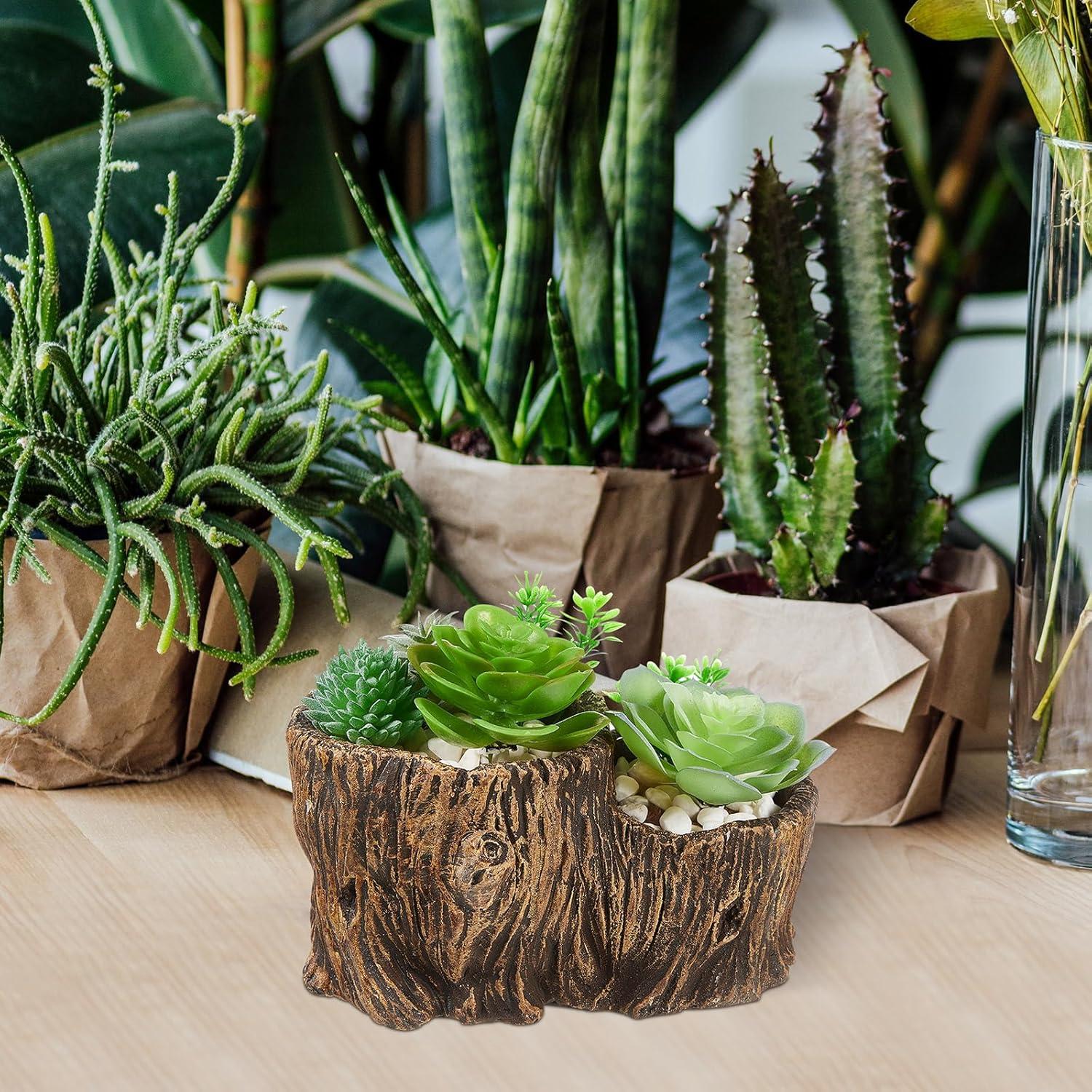 Macetas de Concreto Sunnychicc 3 Pcs Madera Flotante 21.5 cm