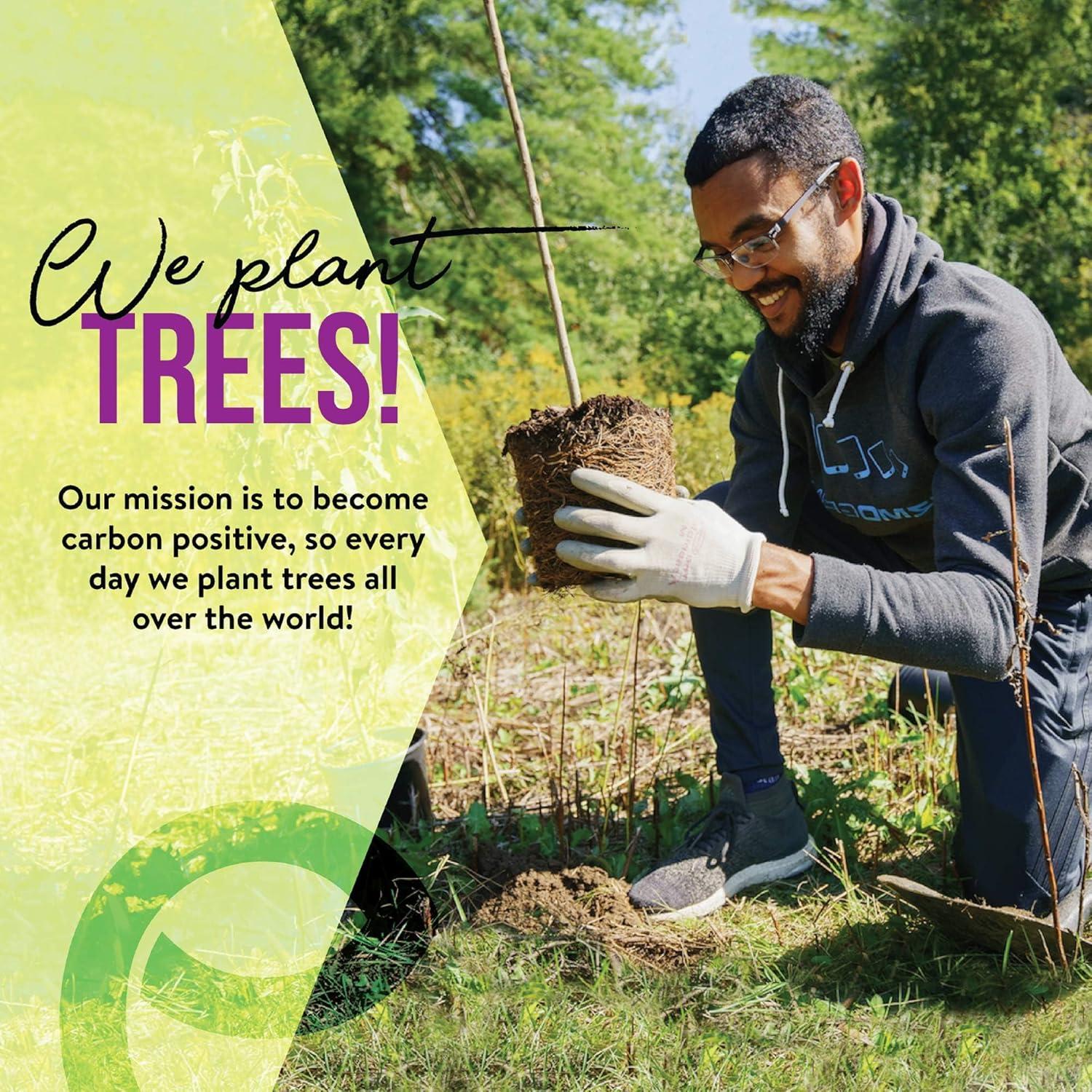 Cepillos de Dientes de Bambú EcoSlurps - 12 Adultos Multicolor