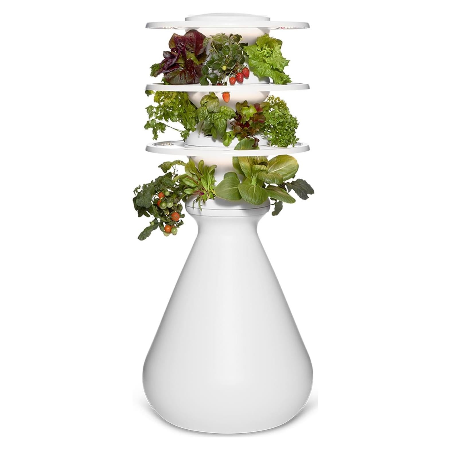 Kit Hidropónico Pequeño Lettuce Grow + 18 Plántulas