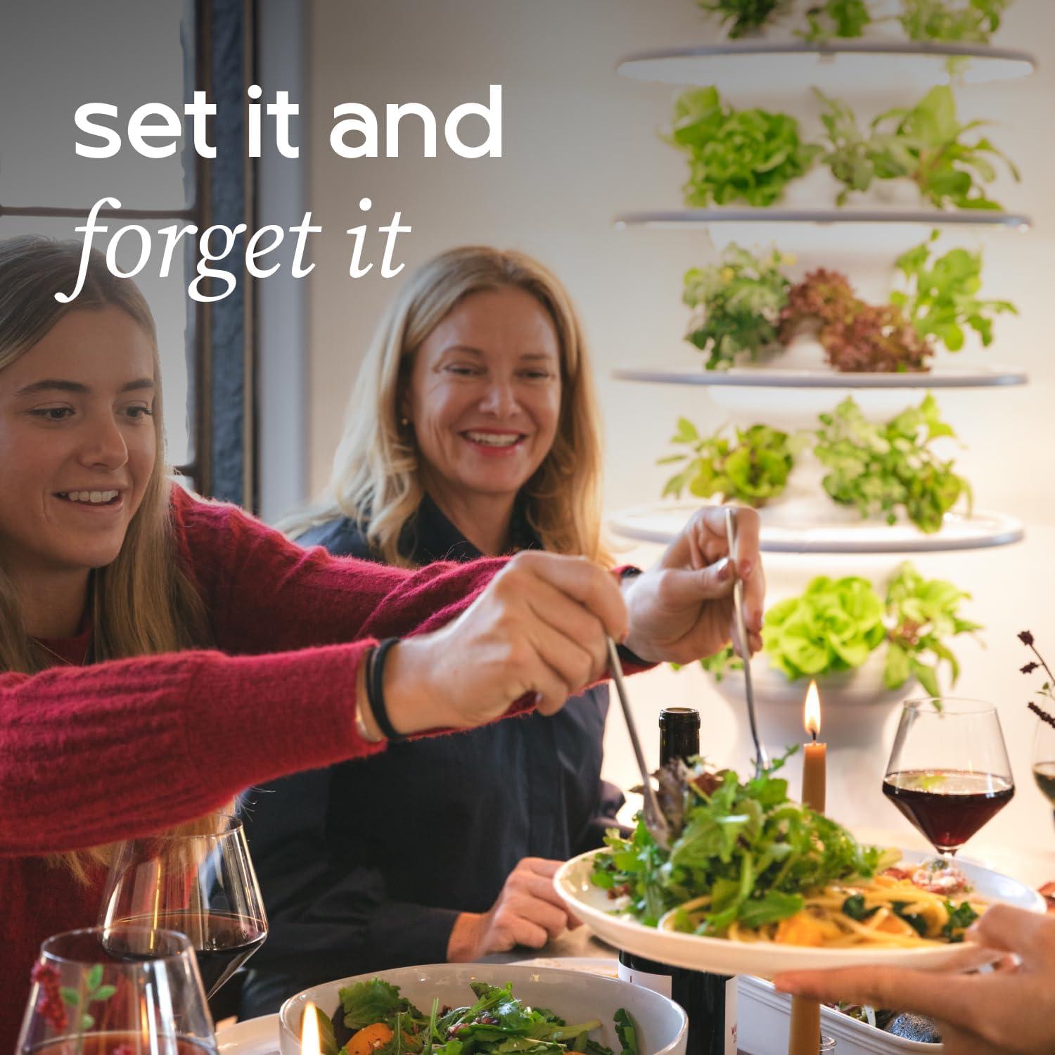 Kit Hidropónico Pequeño Lettuce Grow + 18 Plántulas