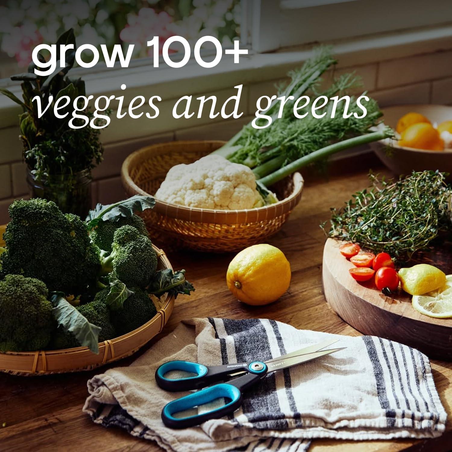 Kit Hidropónico Pequeño Lettuce Grow + 18 Plántulas